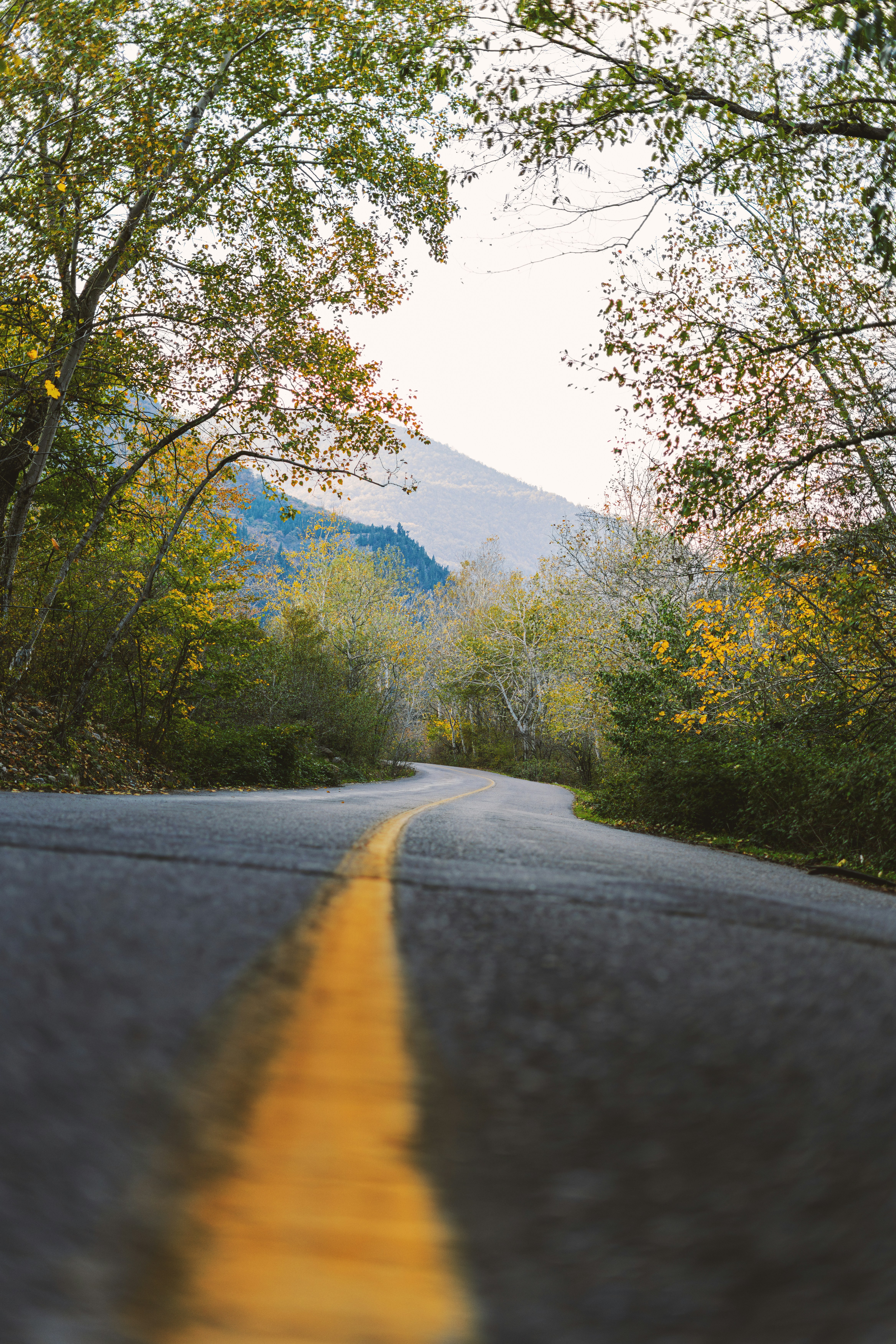 Photo by amya_artworks