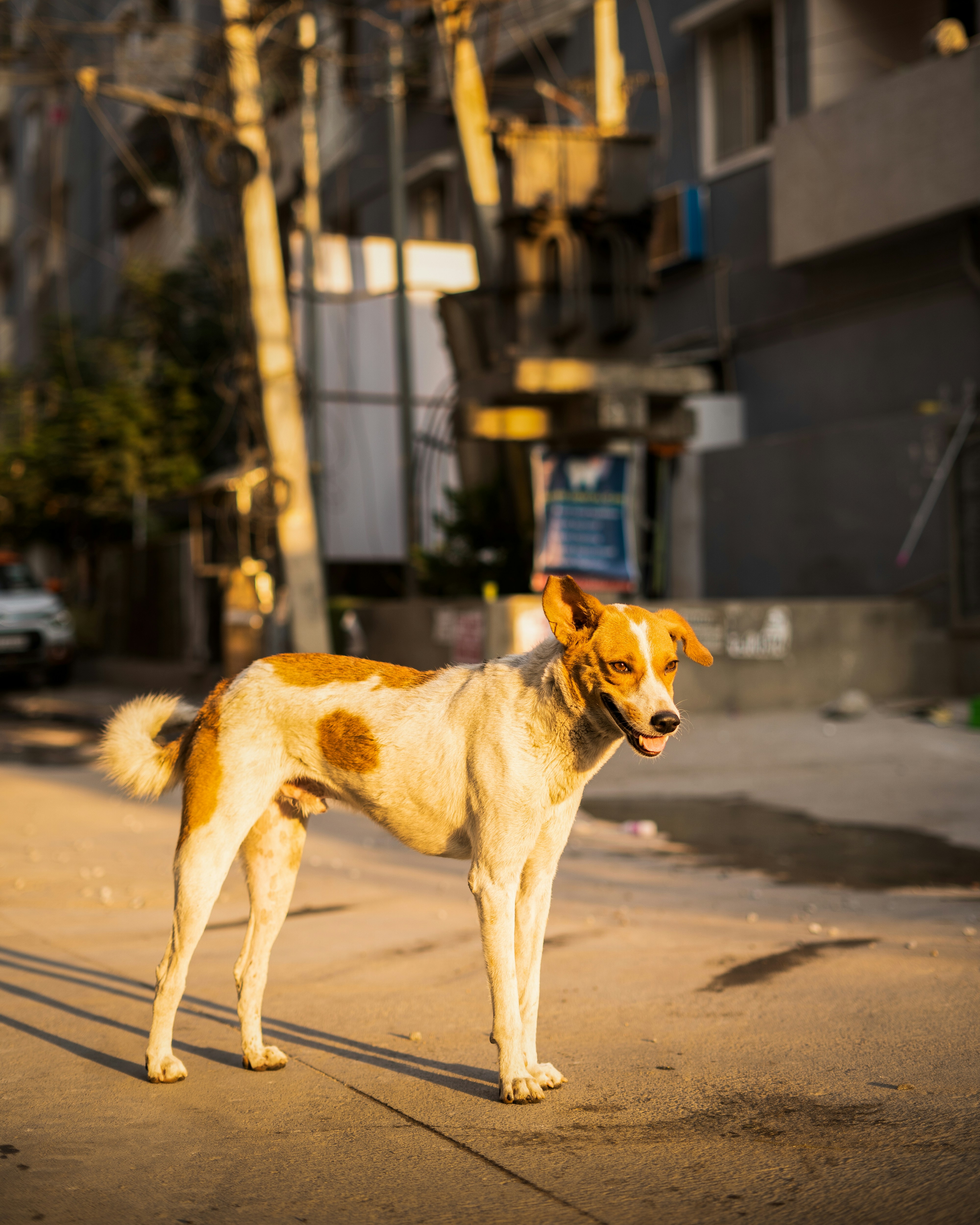 Photo by karan4785
