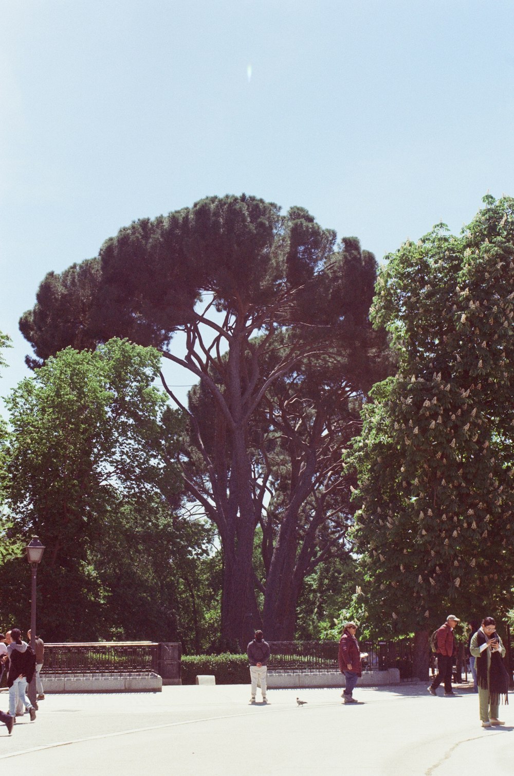 a group of people walking around a park