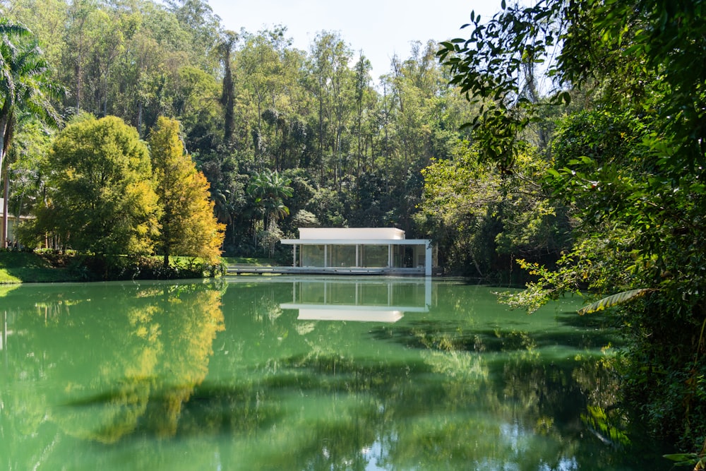 a body of water surrounded by trees and a building