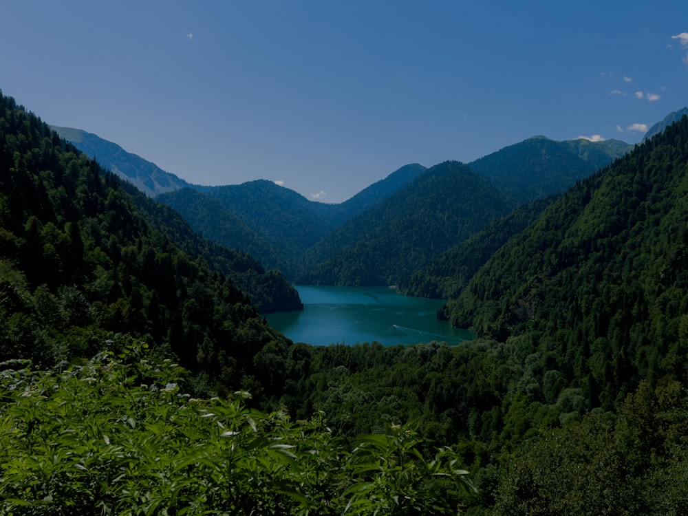 森の真ん中に浮かぶ湖の風景