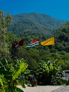 a bunch of flags that are on a pole