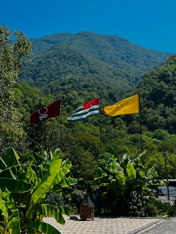 a bunch of flags that are on a pole