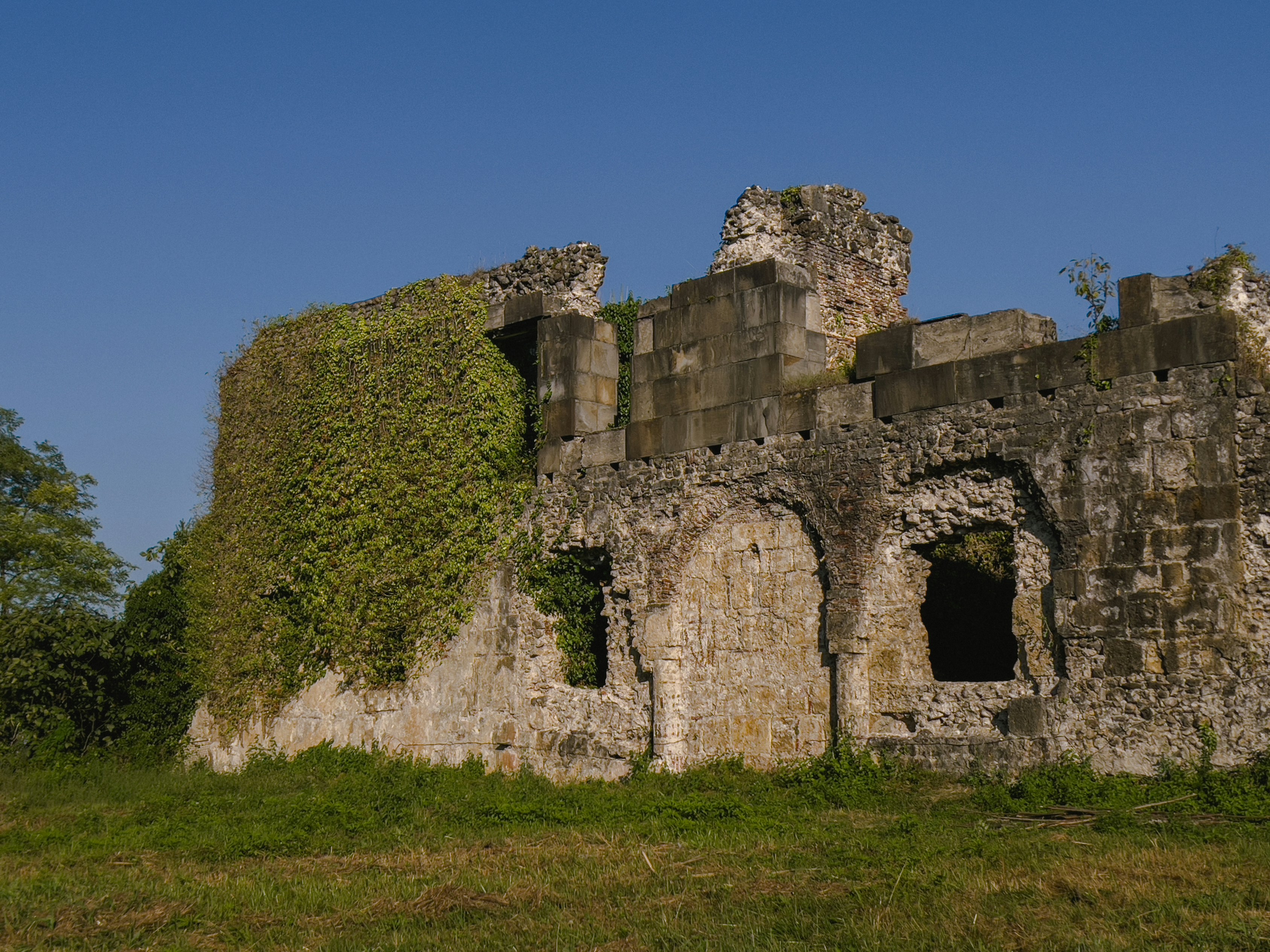 Photo by pinkpony2000