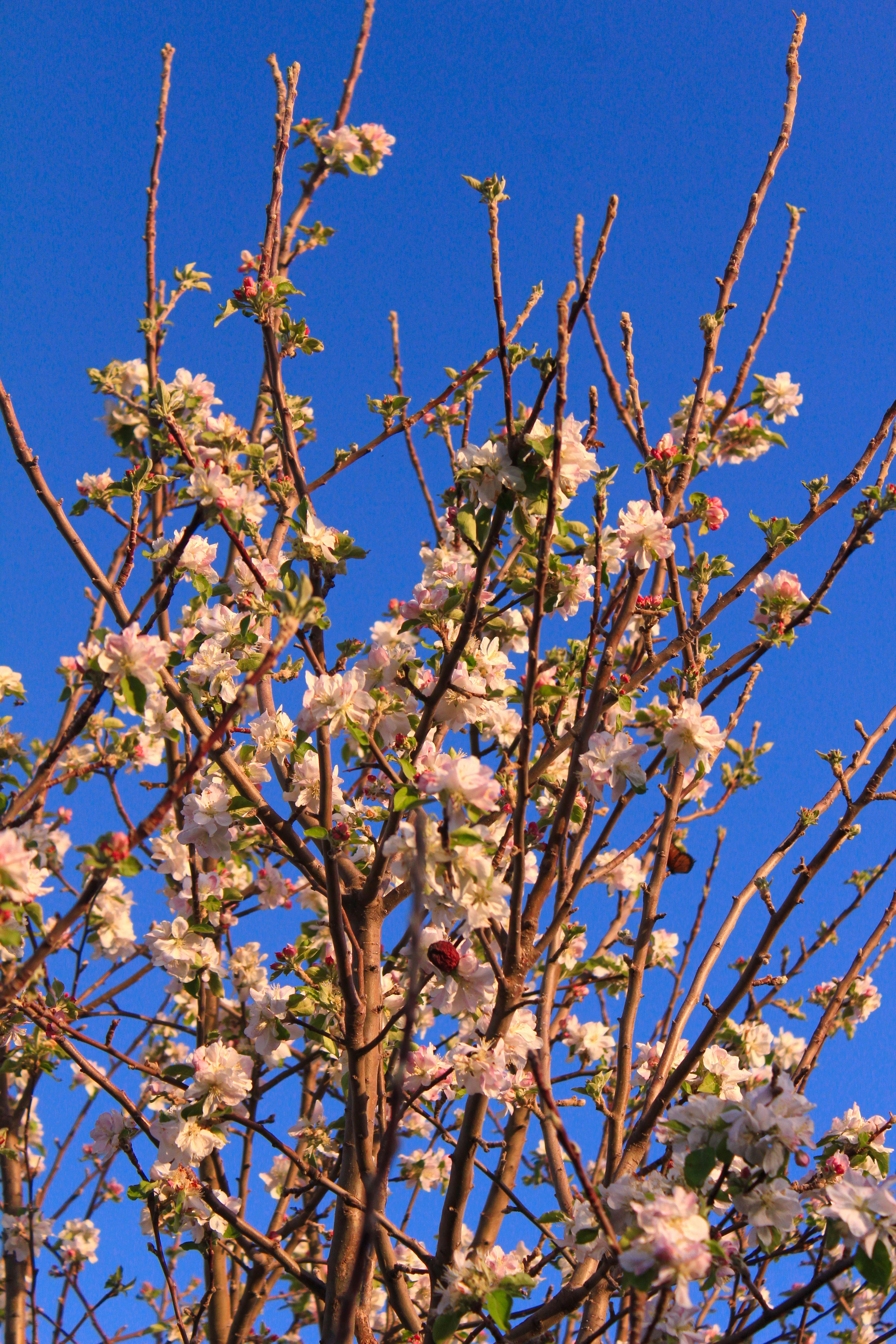 Photo by jodiegowens