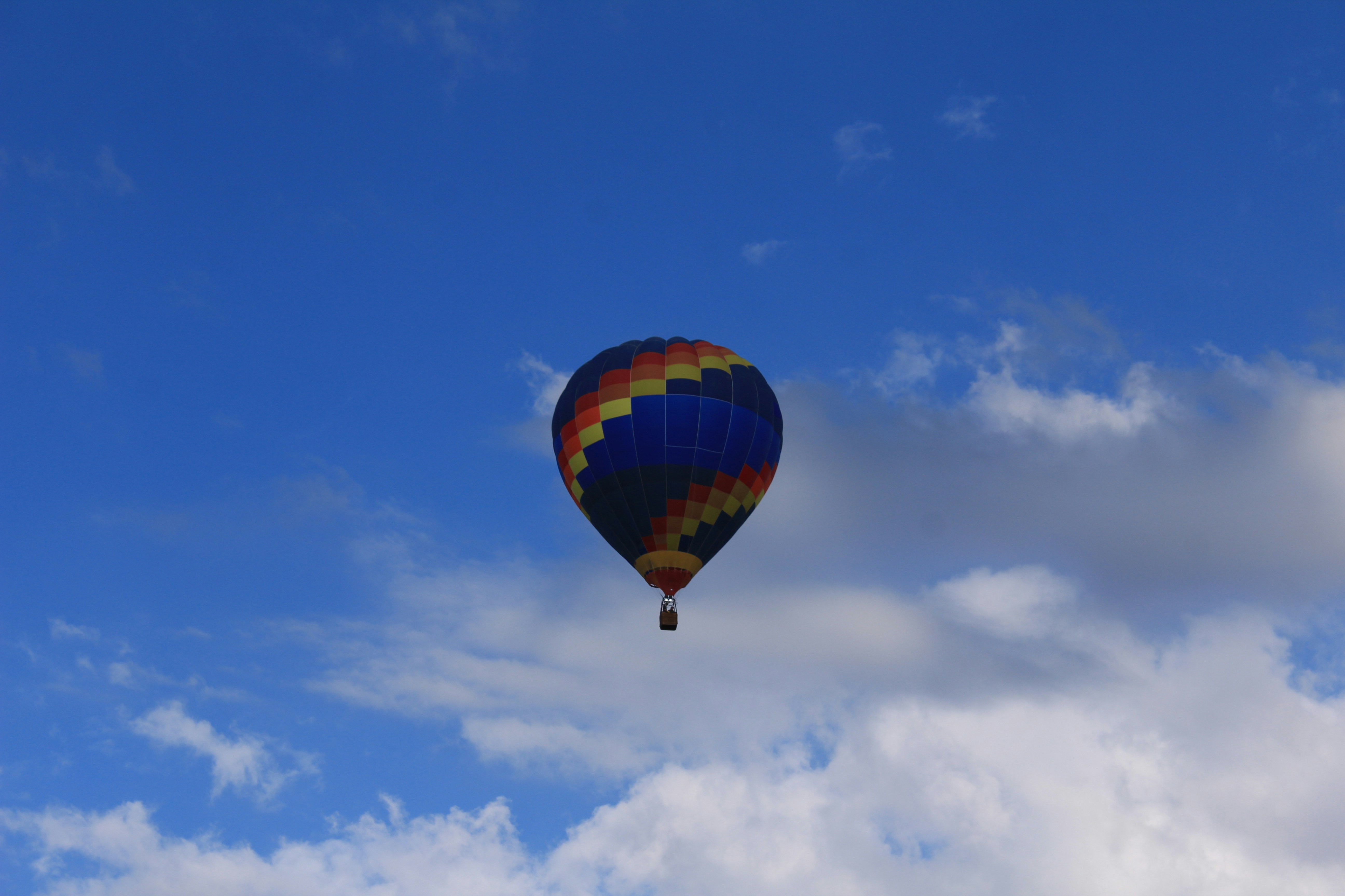 Photo by jodiegowens