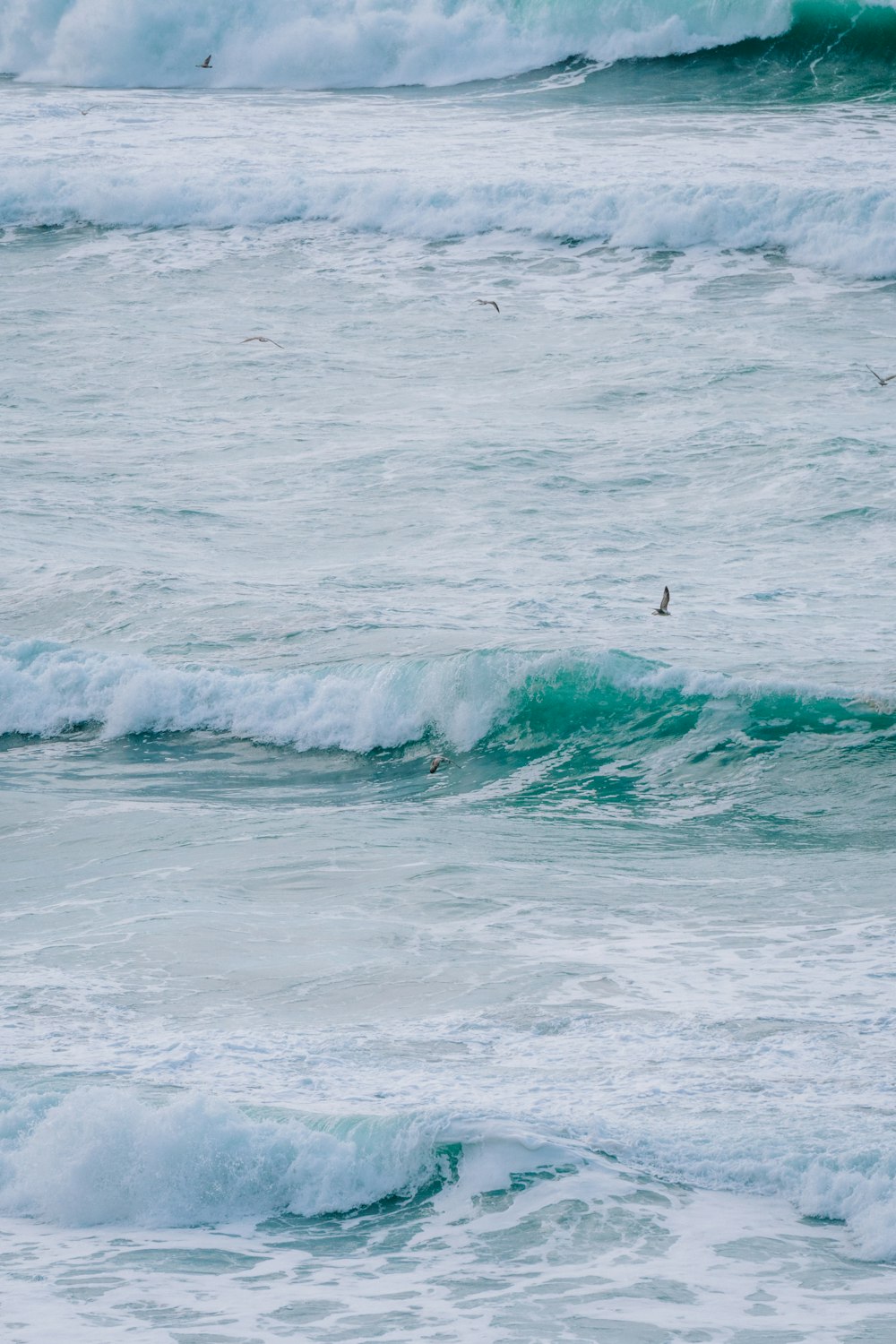 a group of birds flying over a wave in the ocean