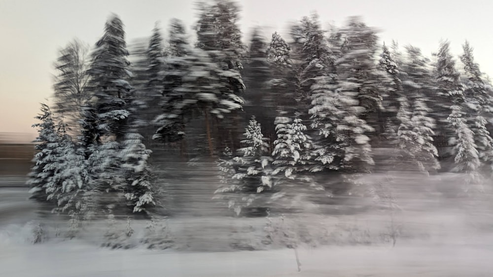 a blurry photo of snow covered trees