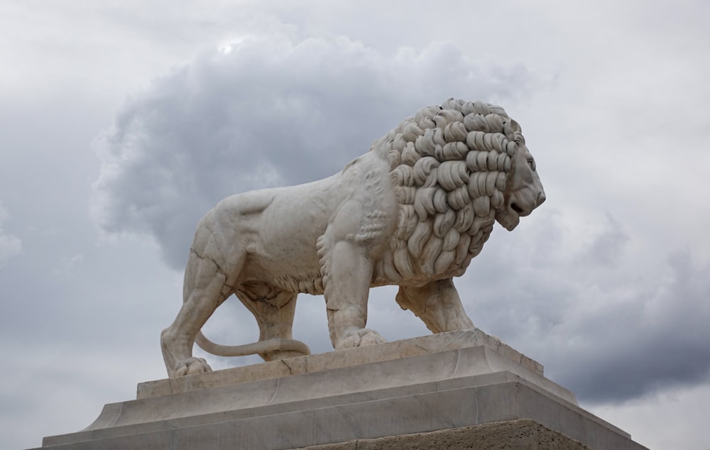 a statue of a lion with a bunch of wool on it's back