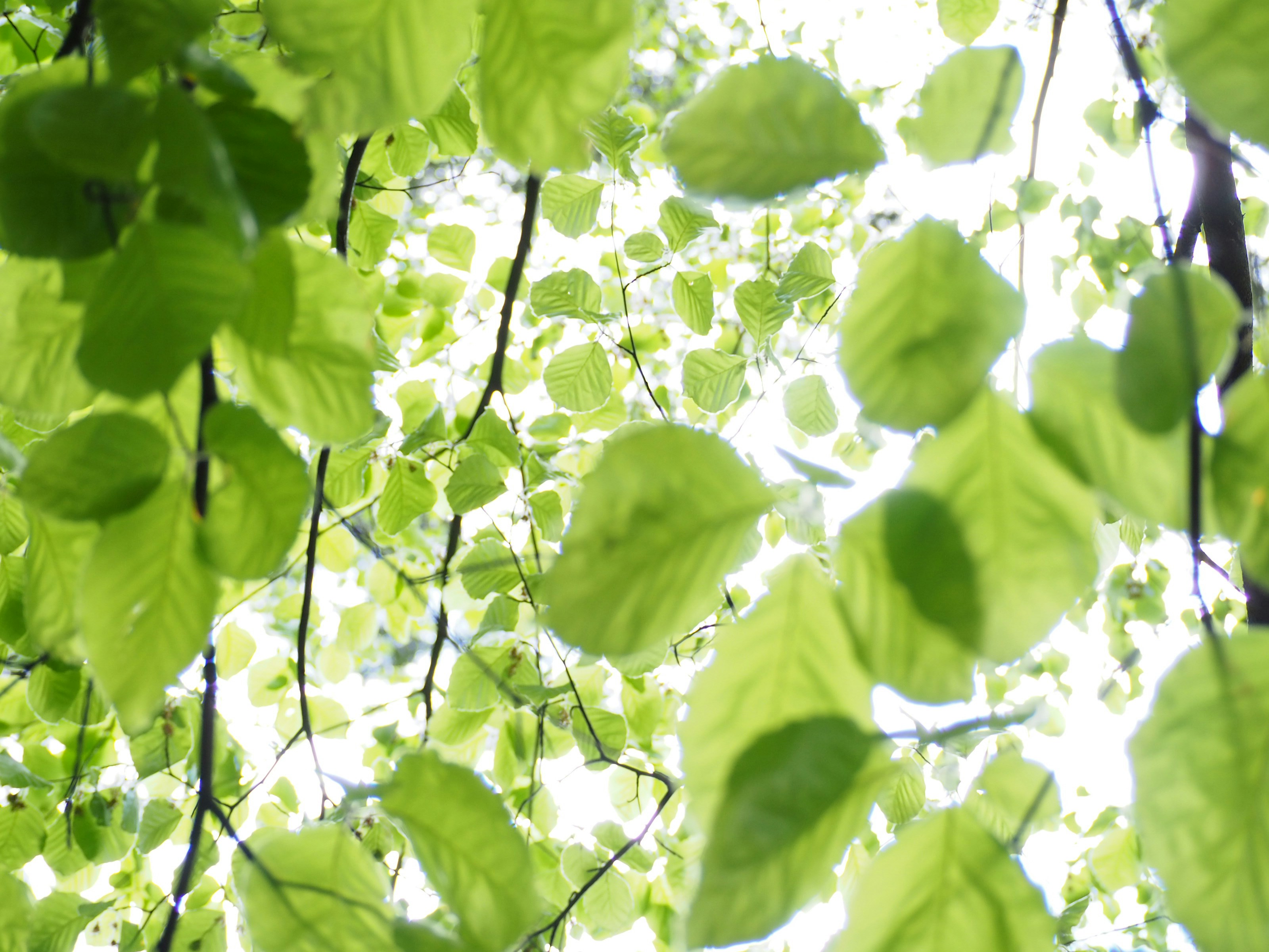 Photo by kimagurephotos