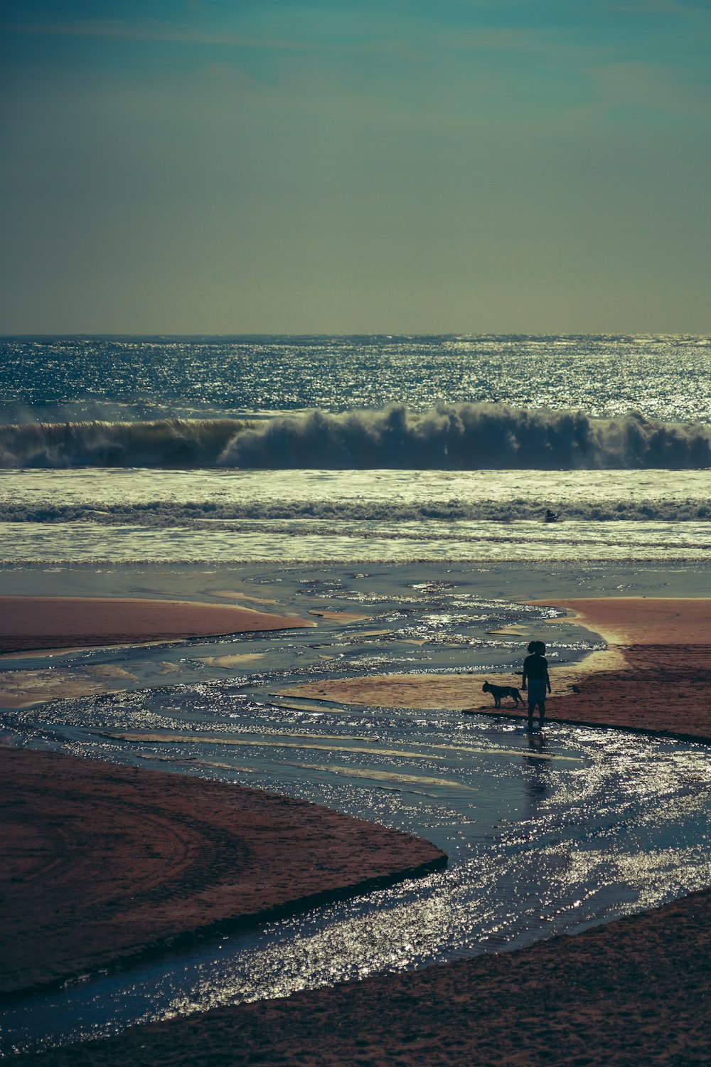 a person walking a dog on a beach next to the ocean