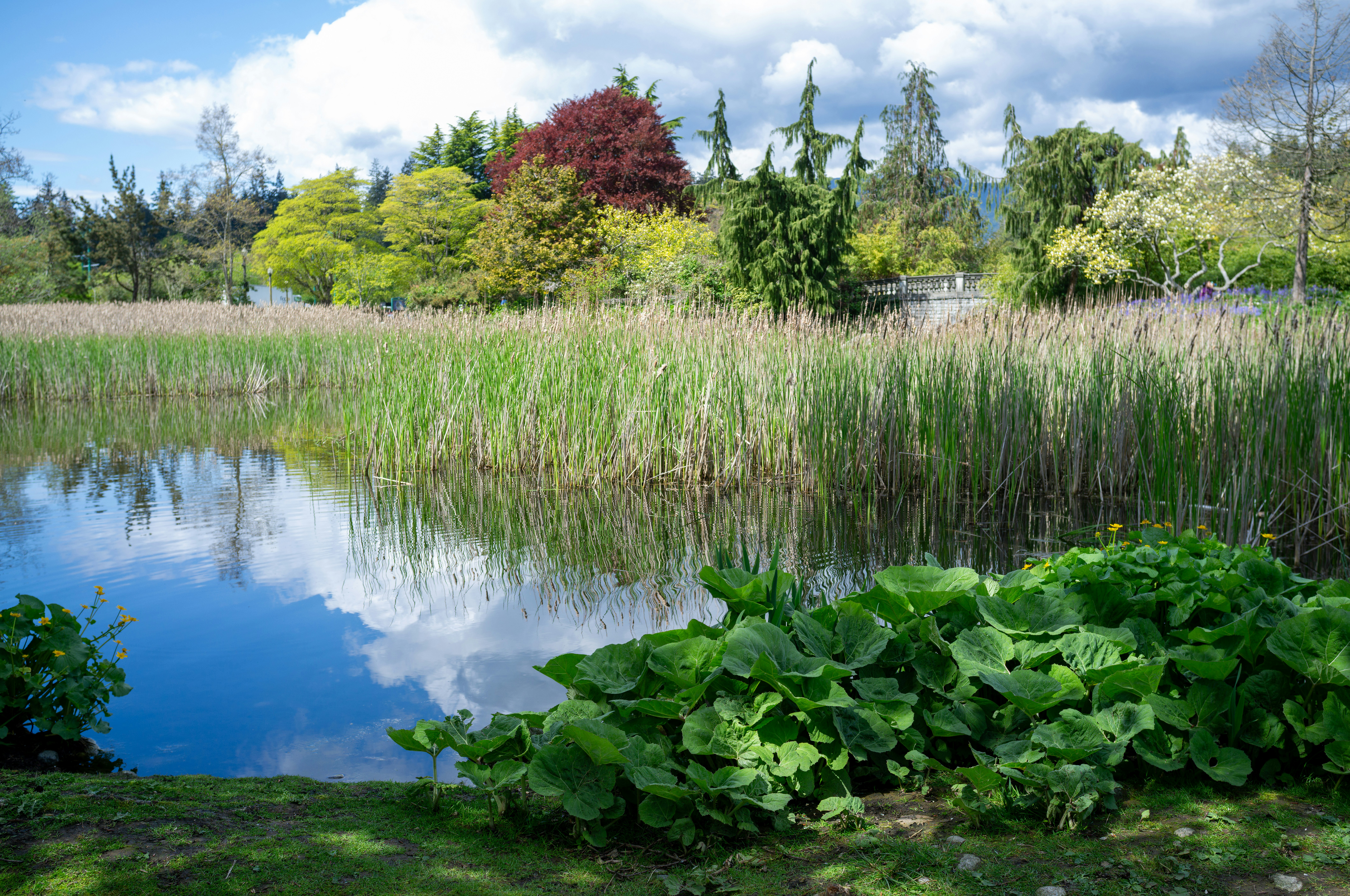 Photo by jonathankslim