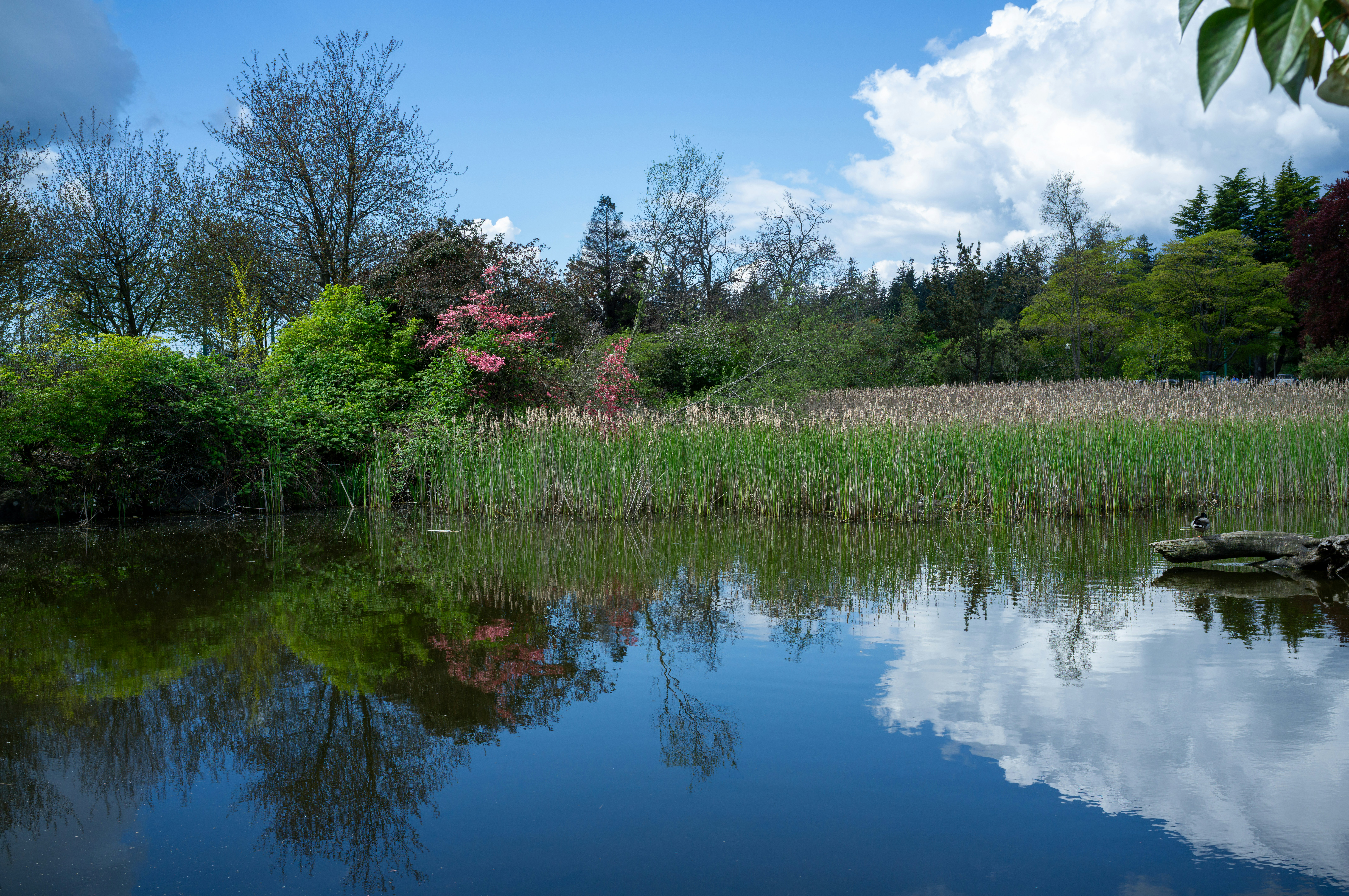 Photo by jonathankslim