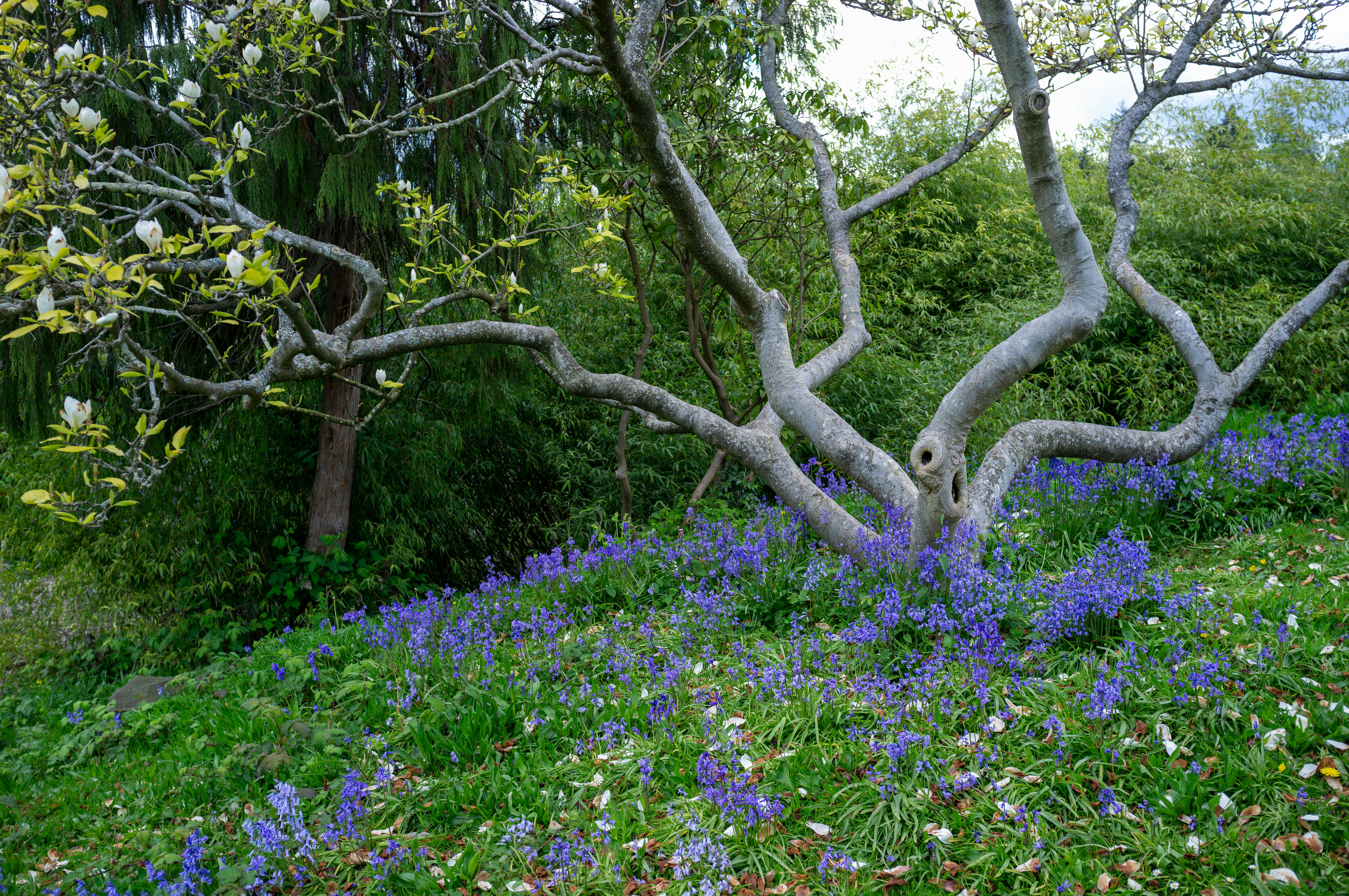 Photo by jonathankslim