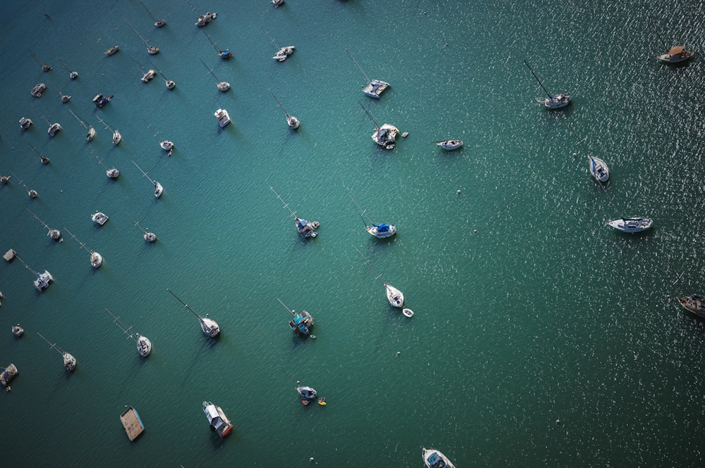 un groupe de bateaux flottant au-dessus d’un plan d’eau