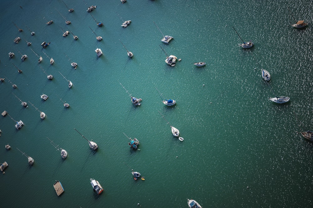 a group of boats floating on top of a body of water