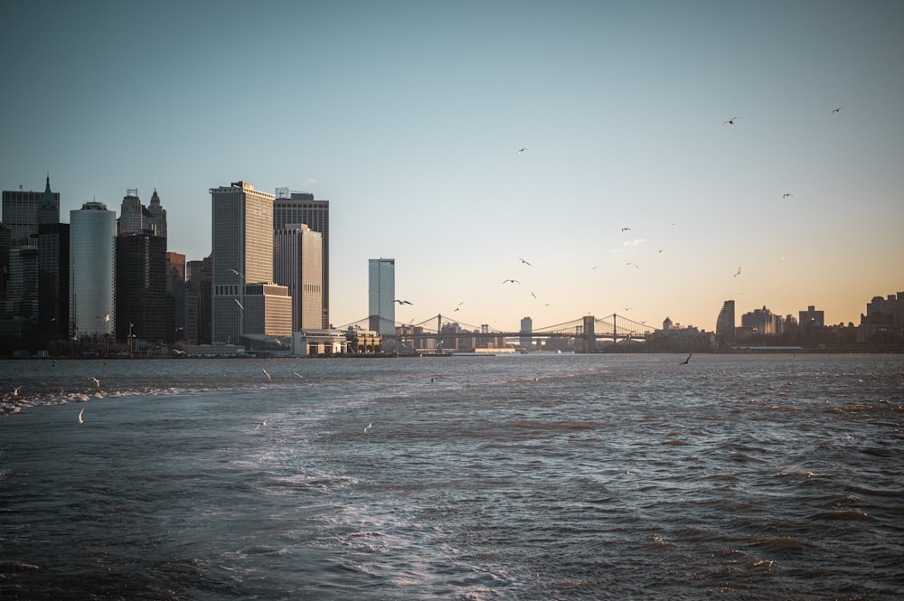 a large body of water with a city in the background