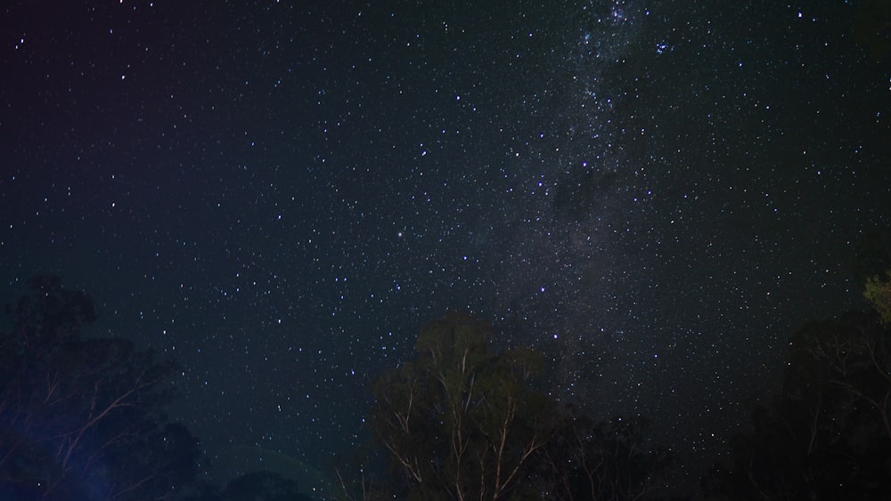 the night sky is filled with stars and trees