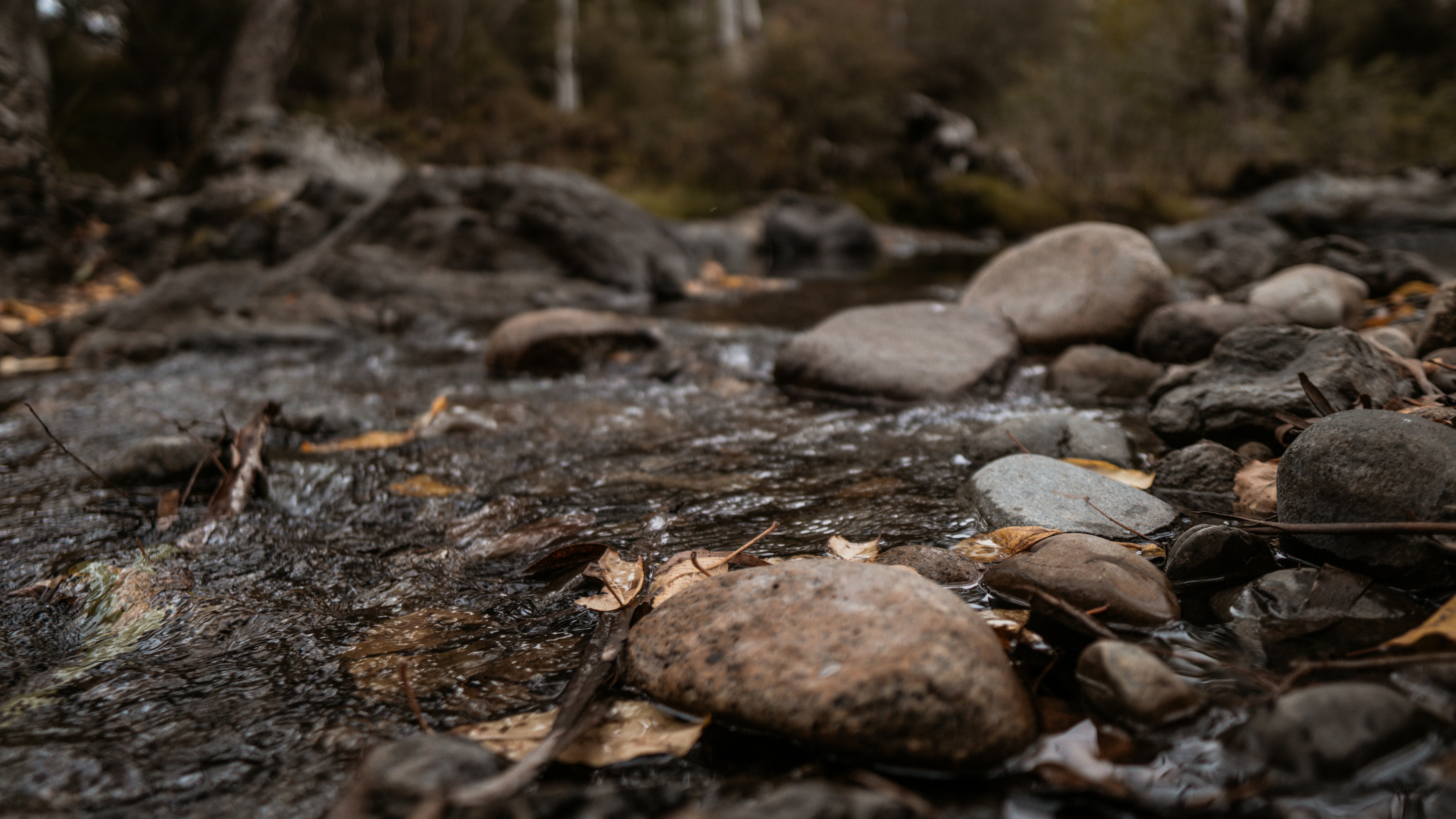 Photo by callumeddings