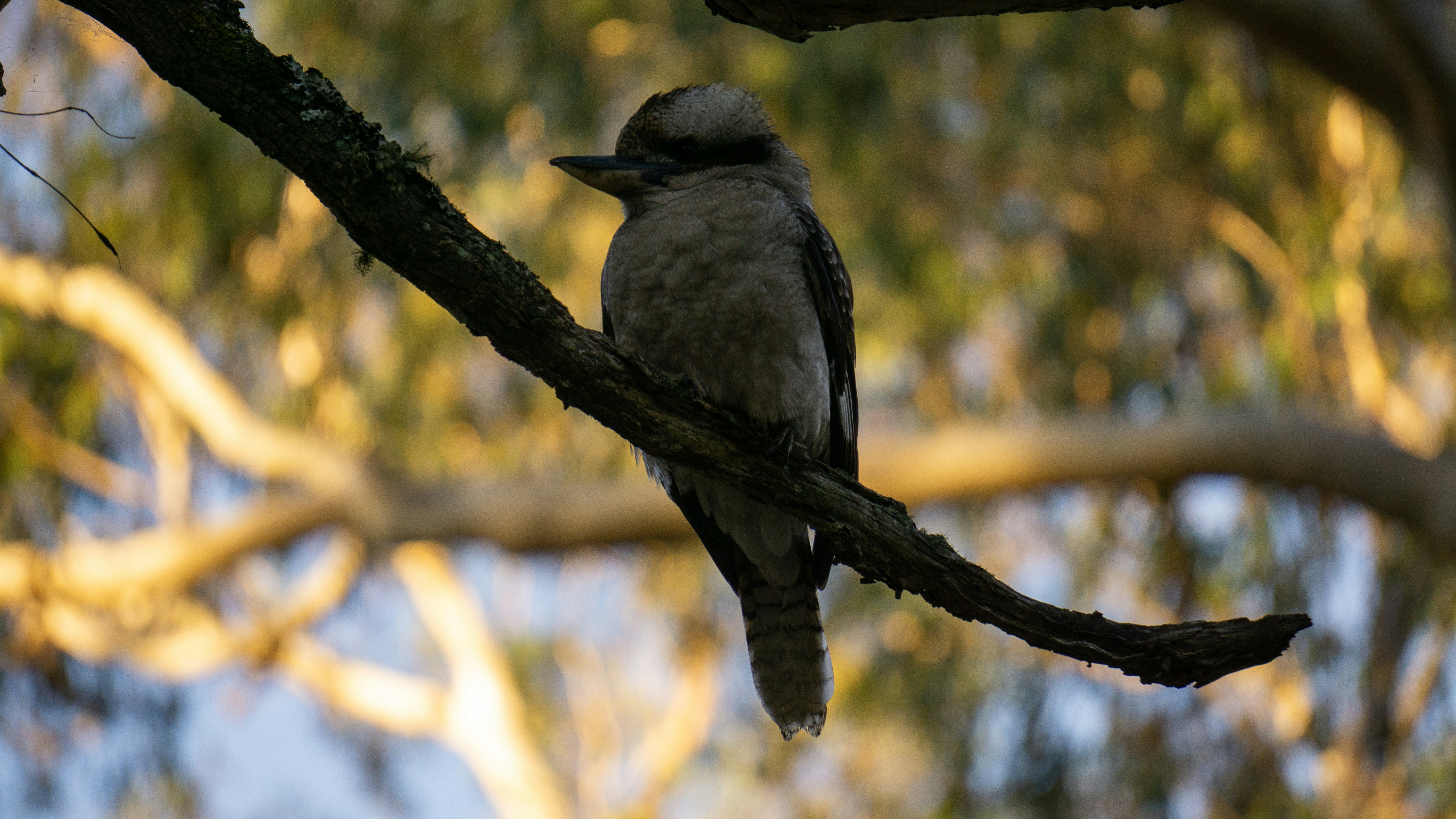 Photo by callumeddings