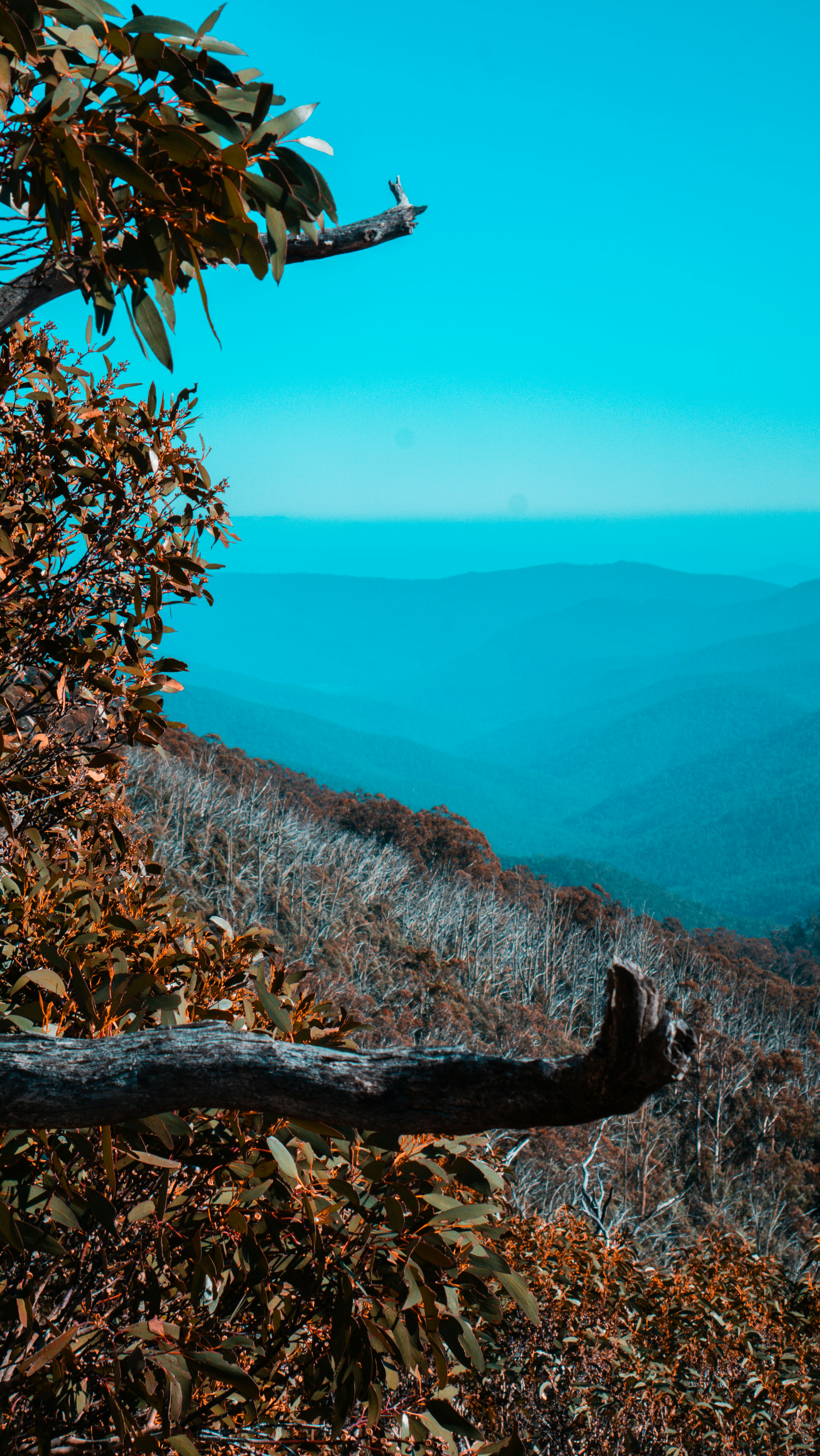 Photo by callumeddings