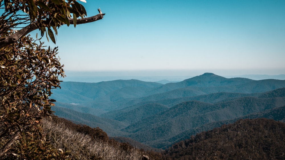 a view of a mountain range from a distance