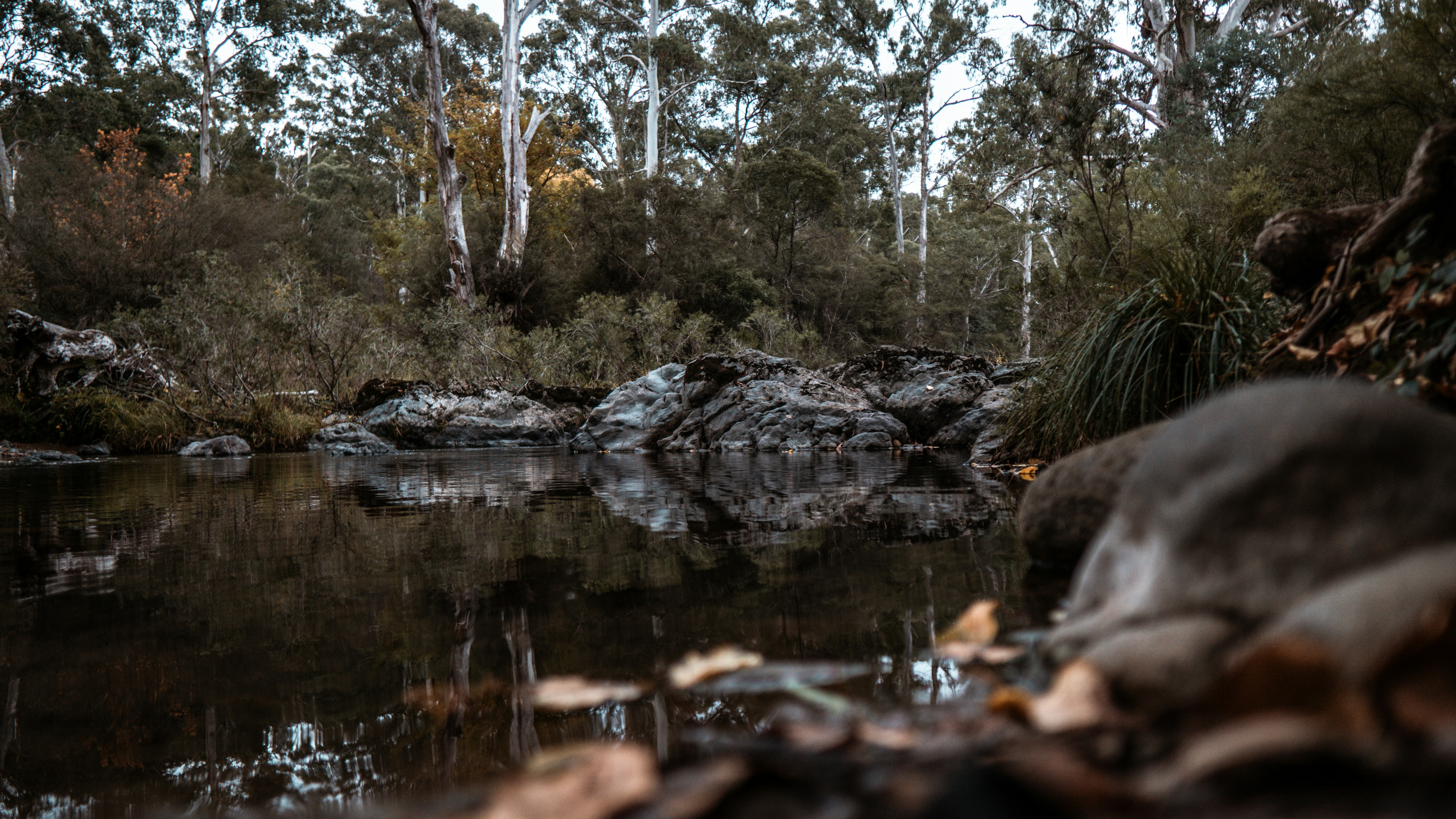 Photo by callumeddings