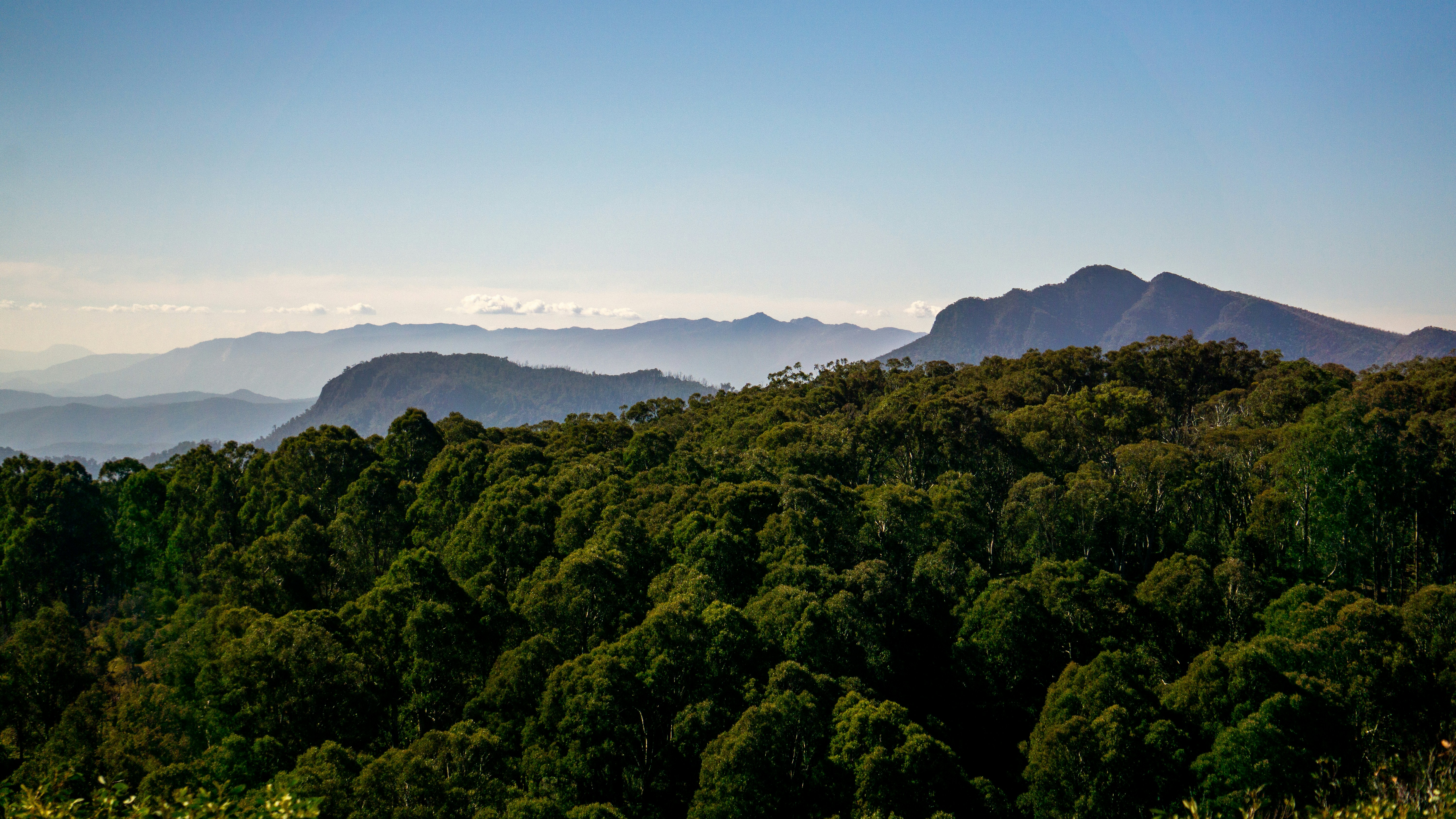 Photo by callumeddings