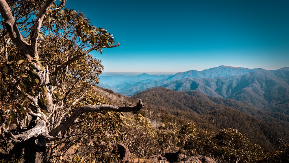 a view of the mountains from the top of a mountain