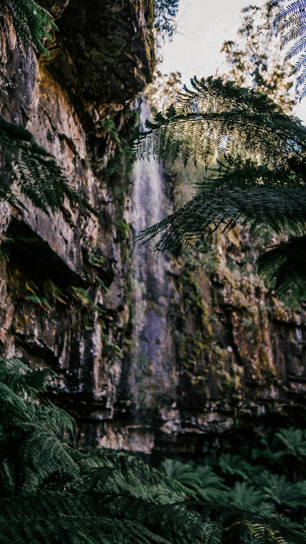 a very tall waterfall surrounded by lush green trees