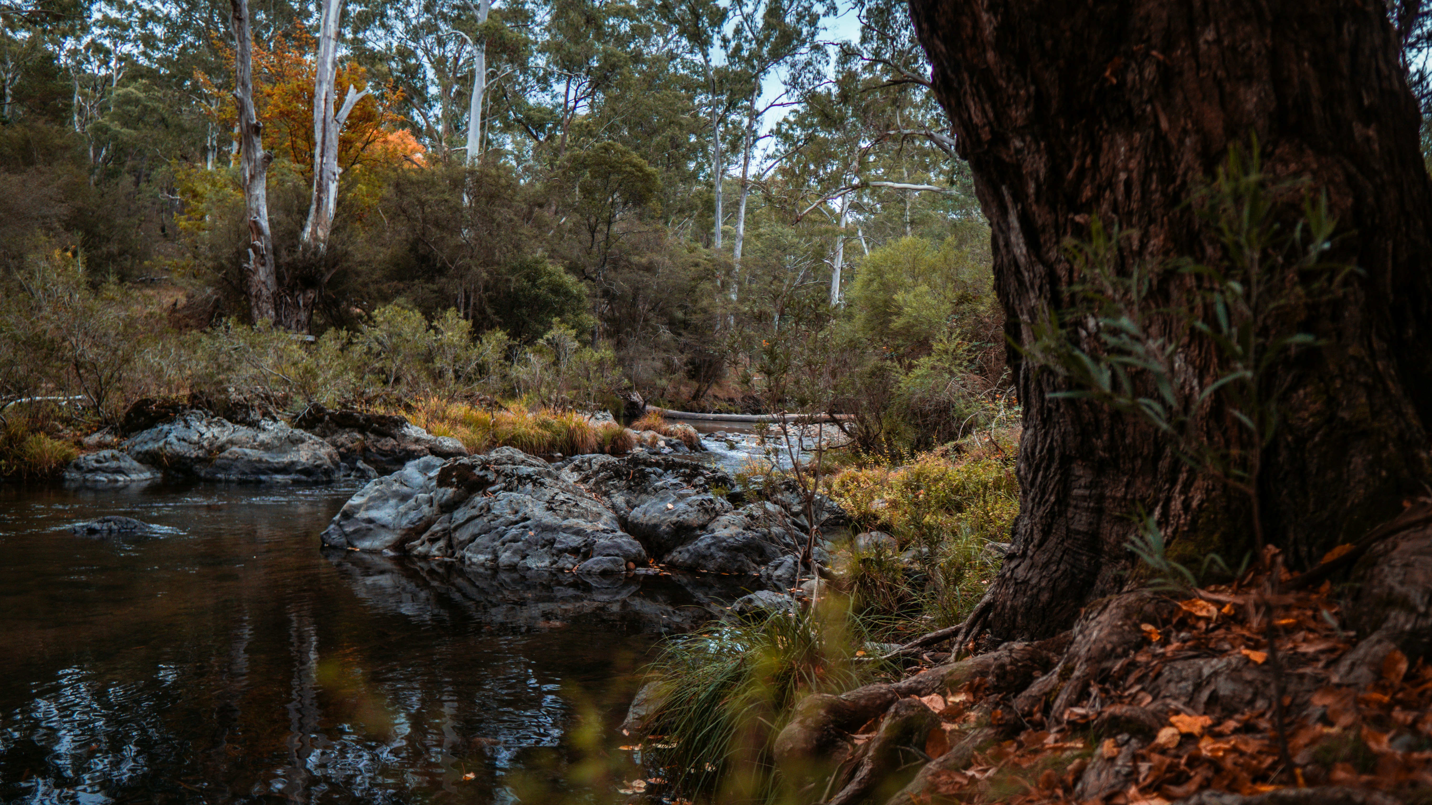 Photo by callumeddings