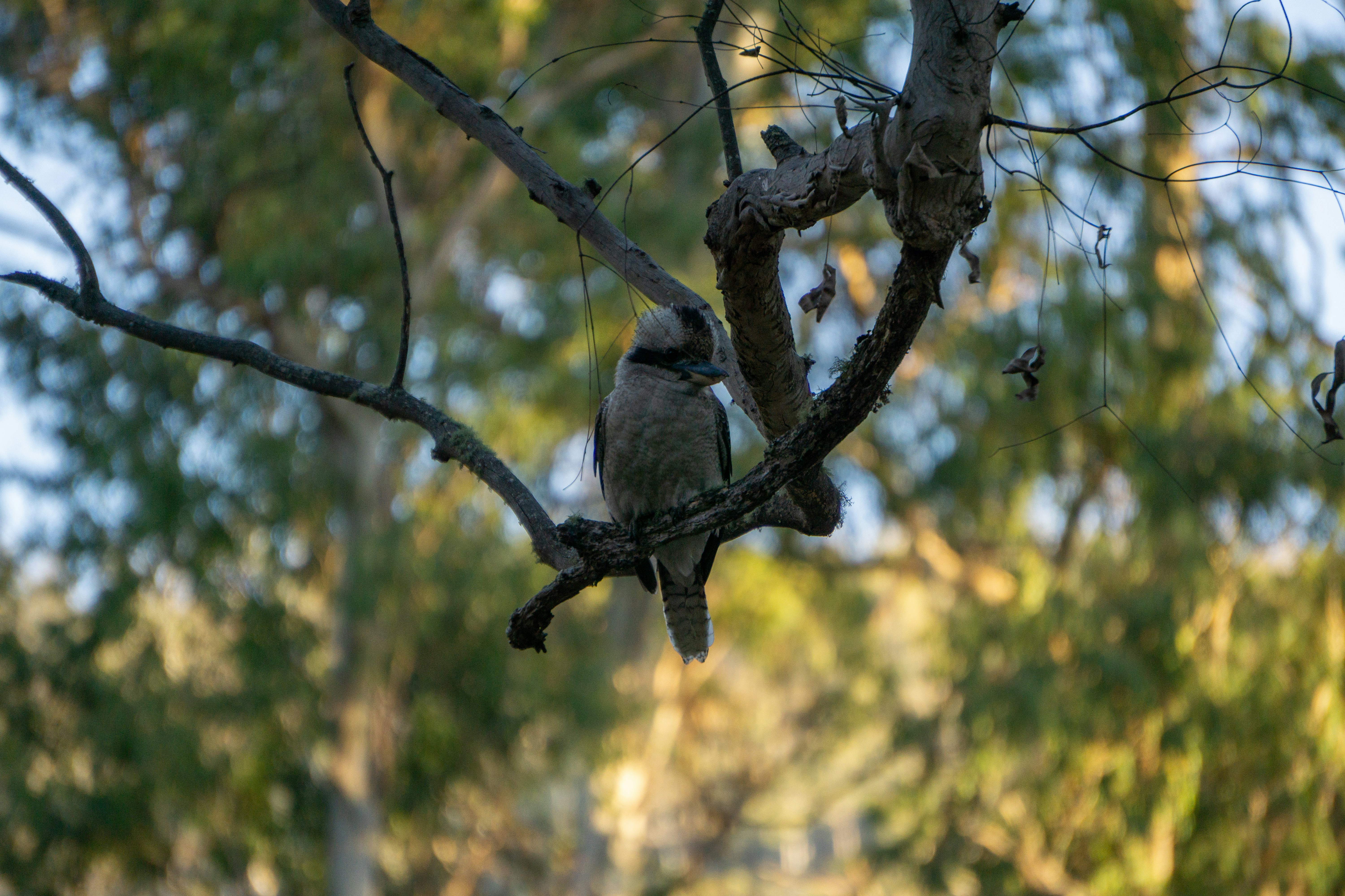 Photo by callumeddings