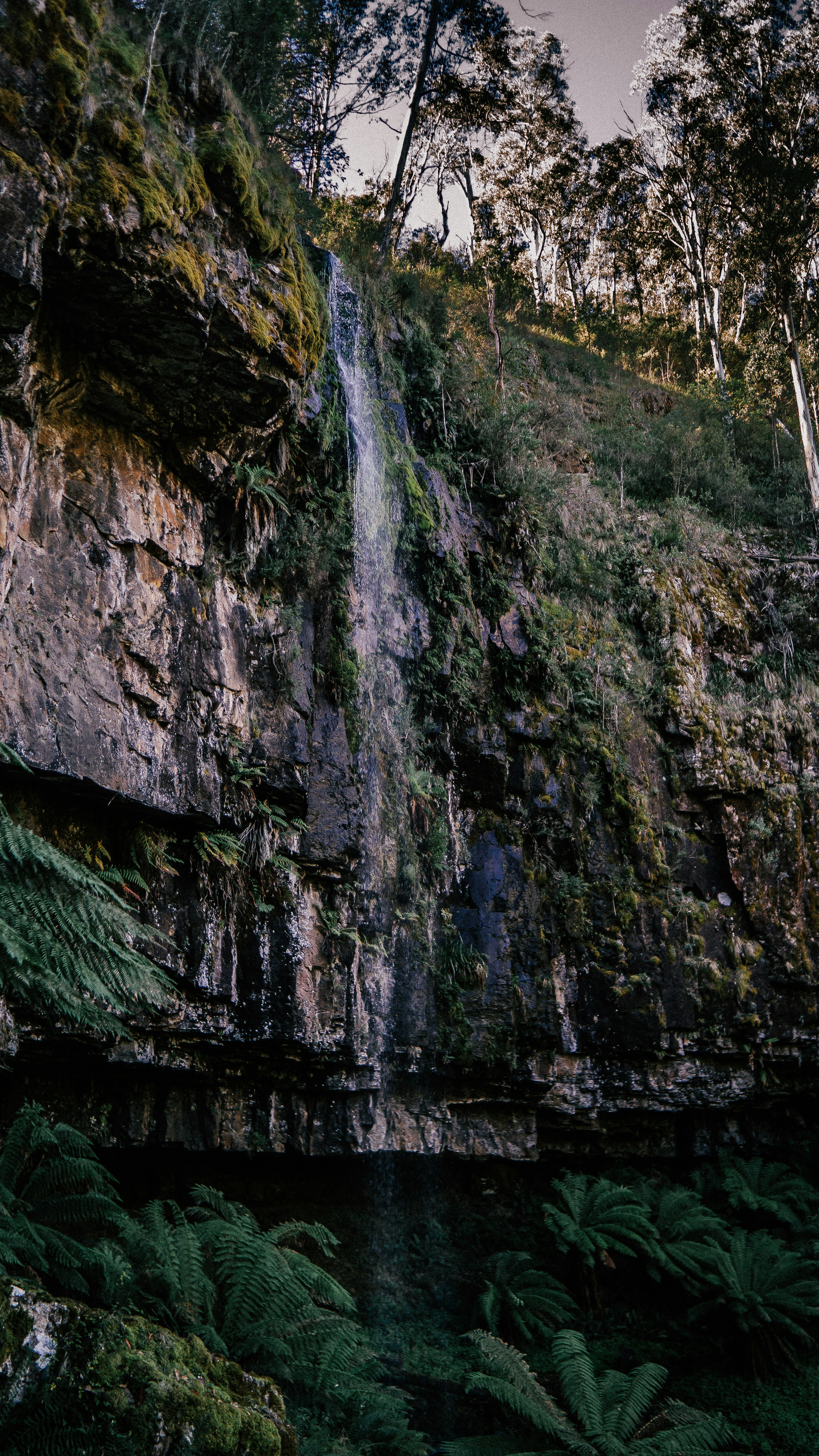 Photo by callumeddings