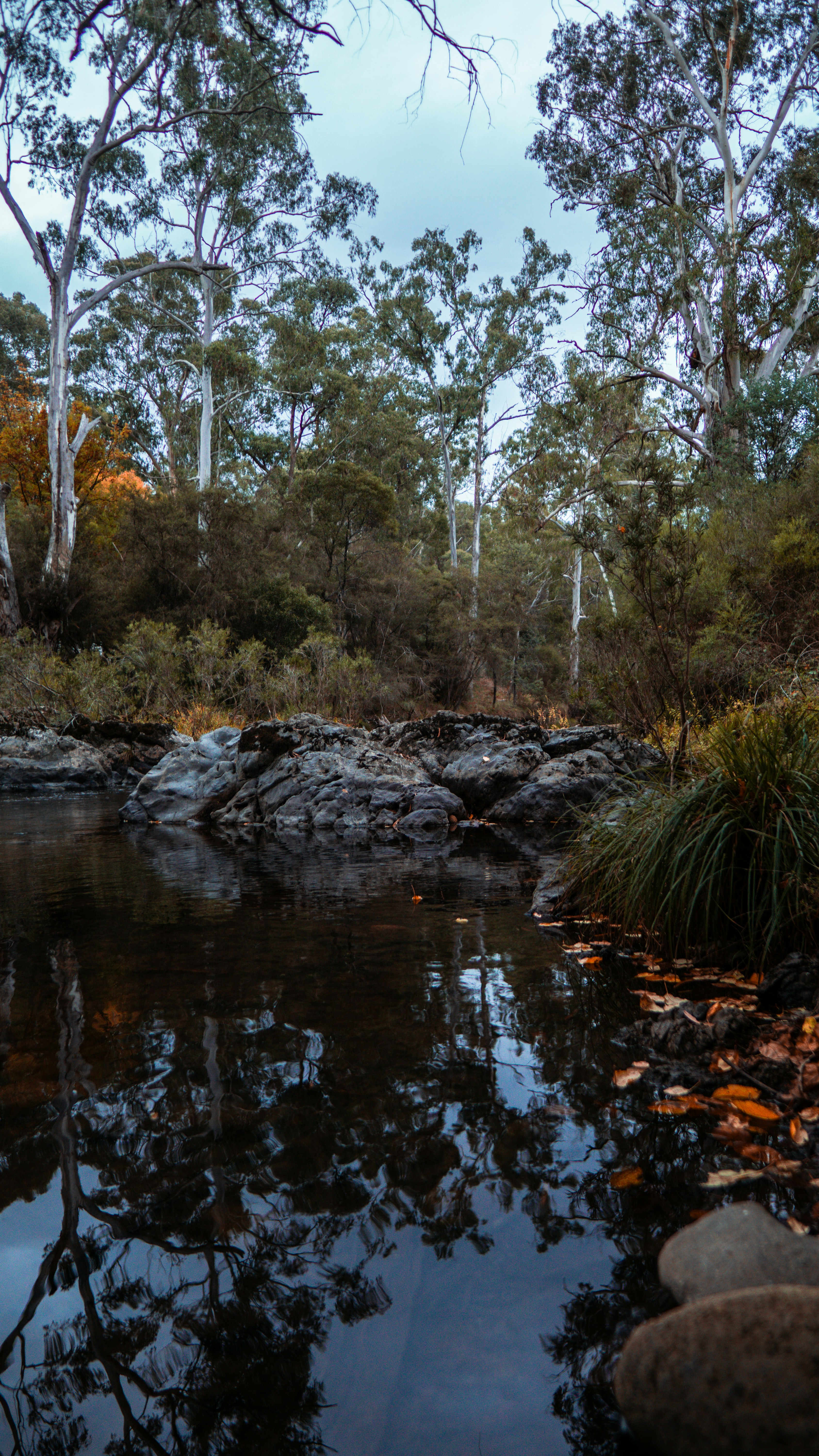 Photo by callumeddings