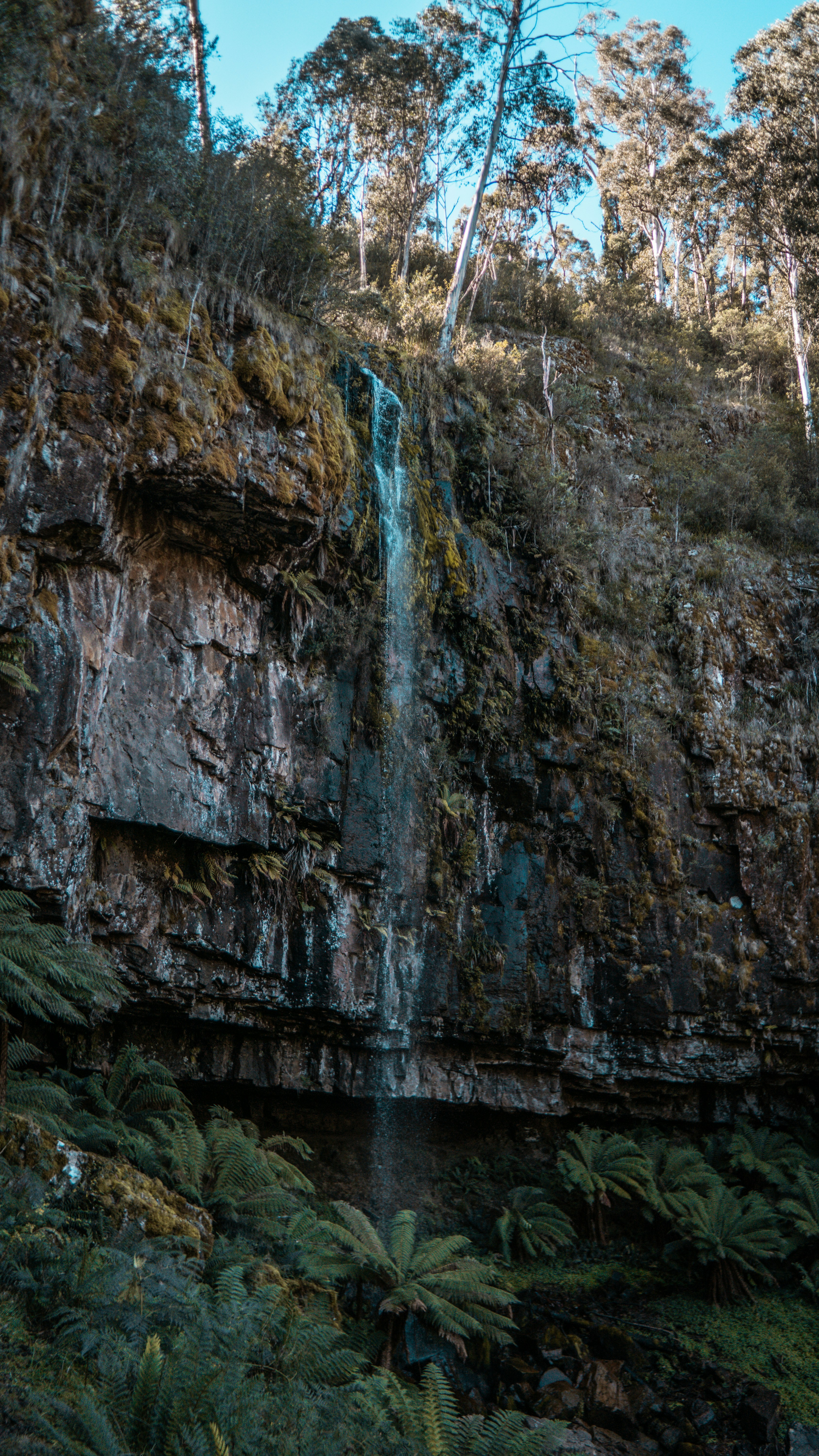 Photo by callumeddings