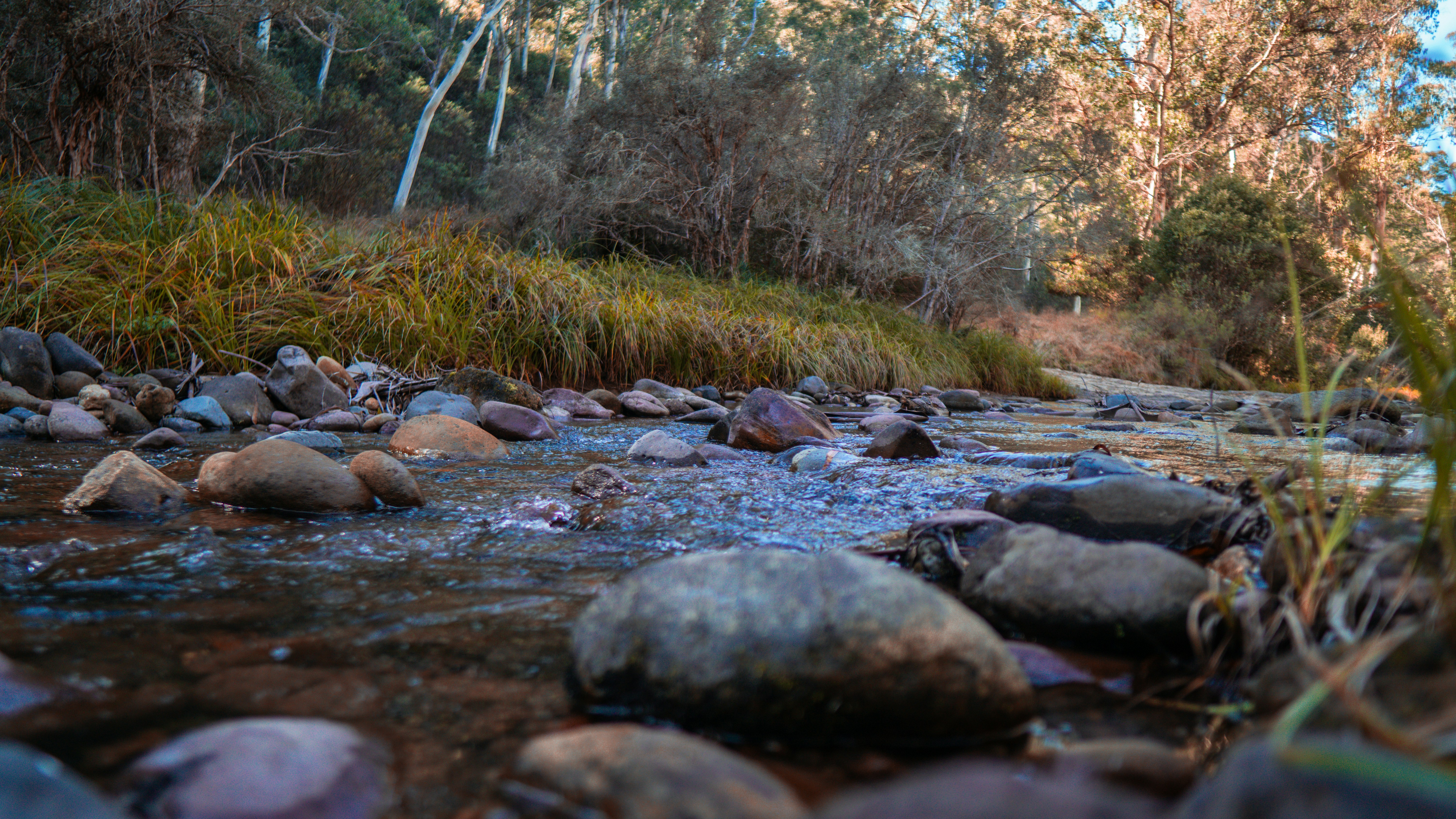 Photo by callumeddings