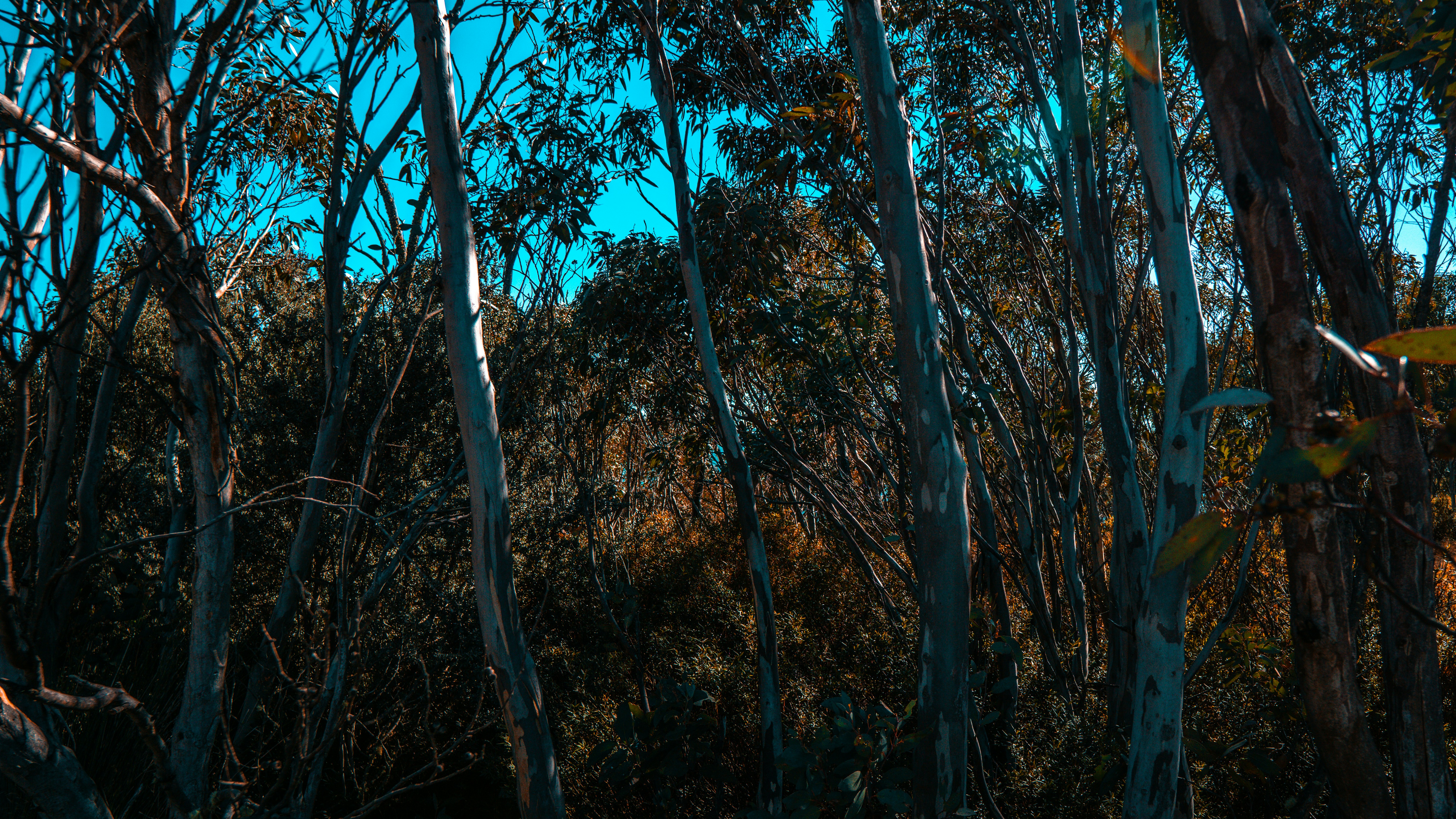 Photo by callumeddings