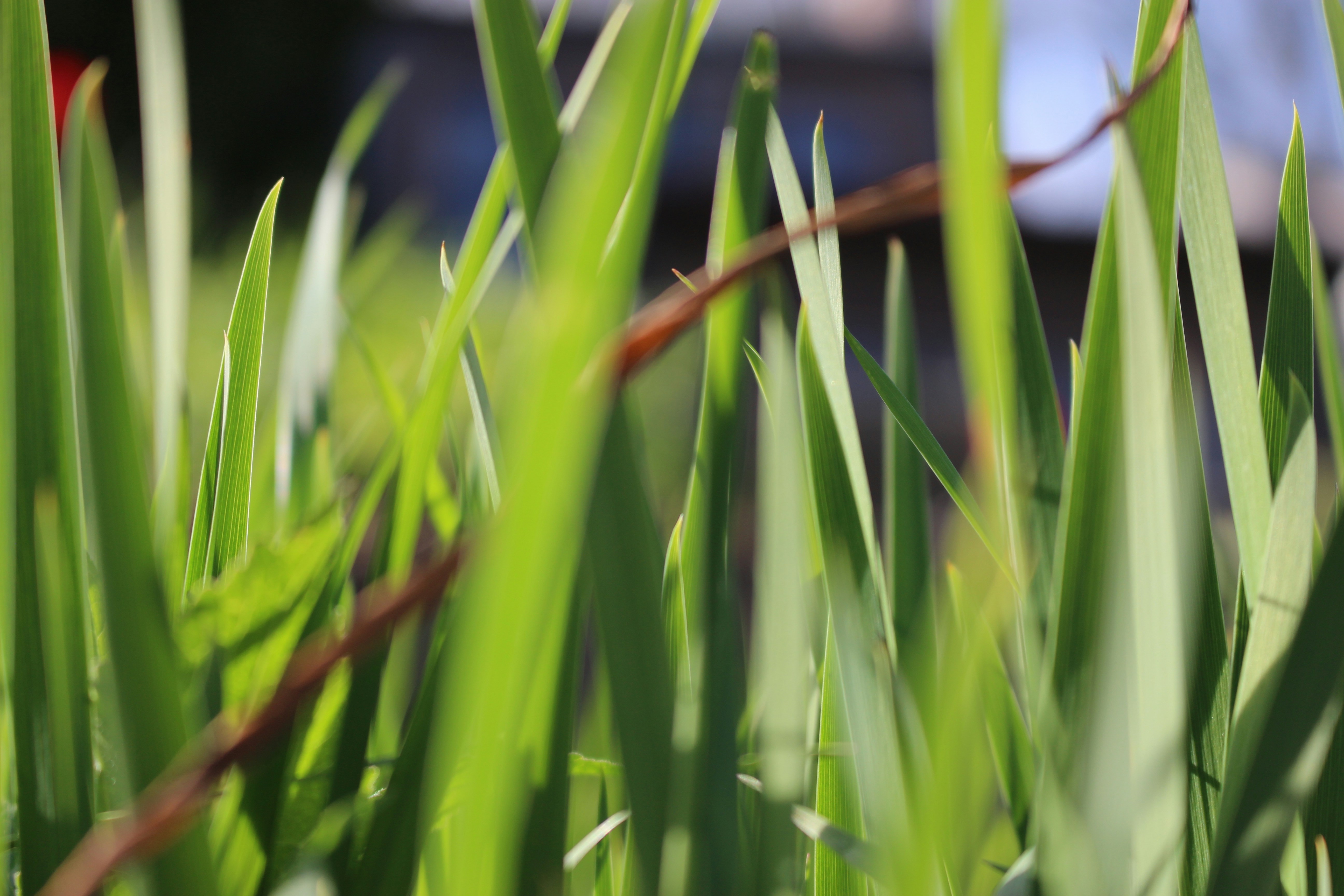 Photo by teagancross