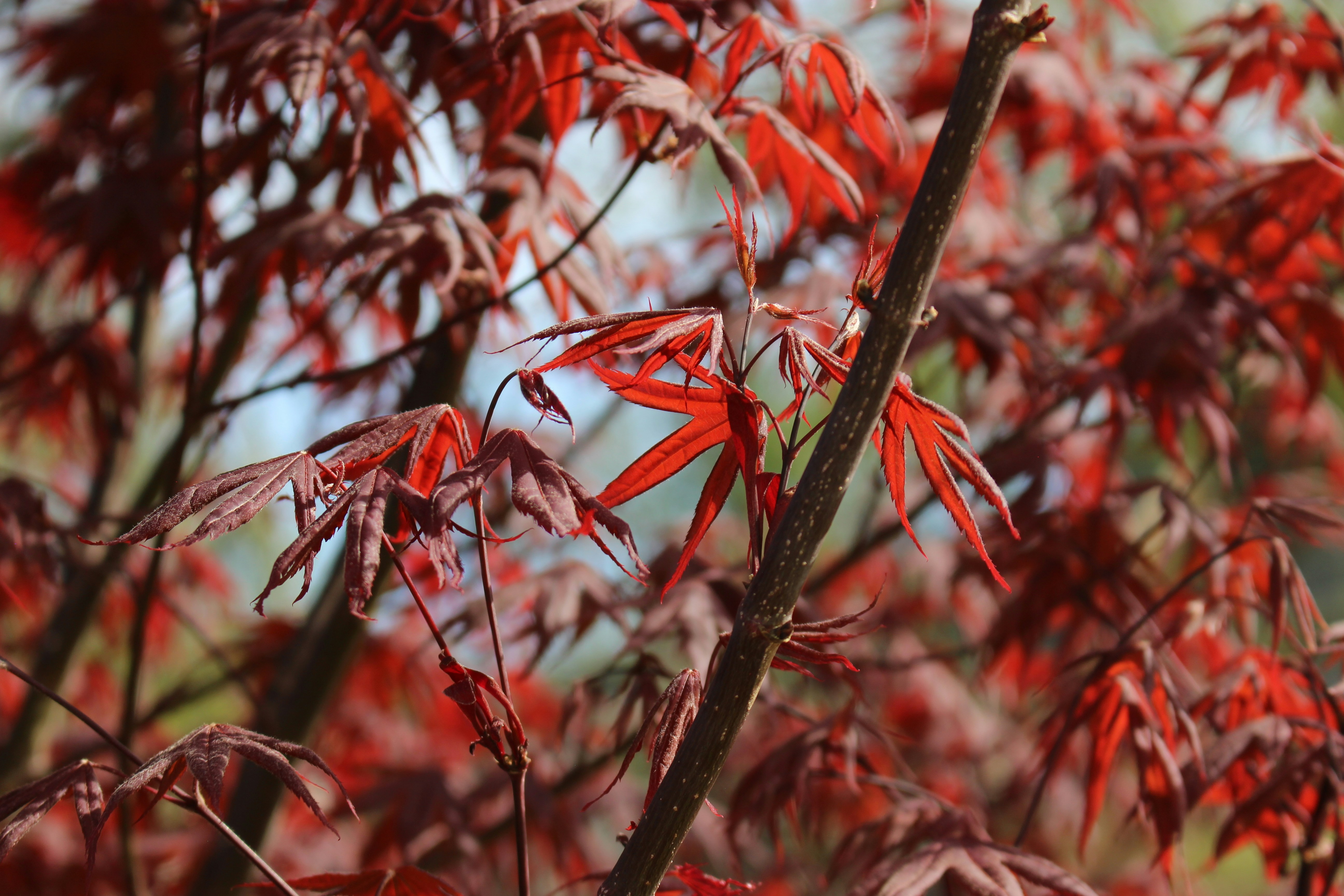 Photo by teagancross