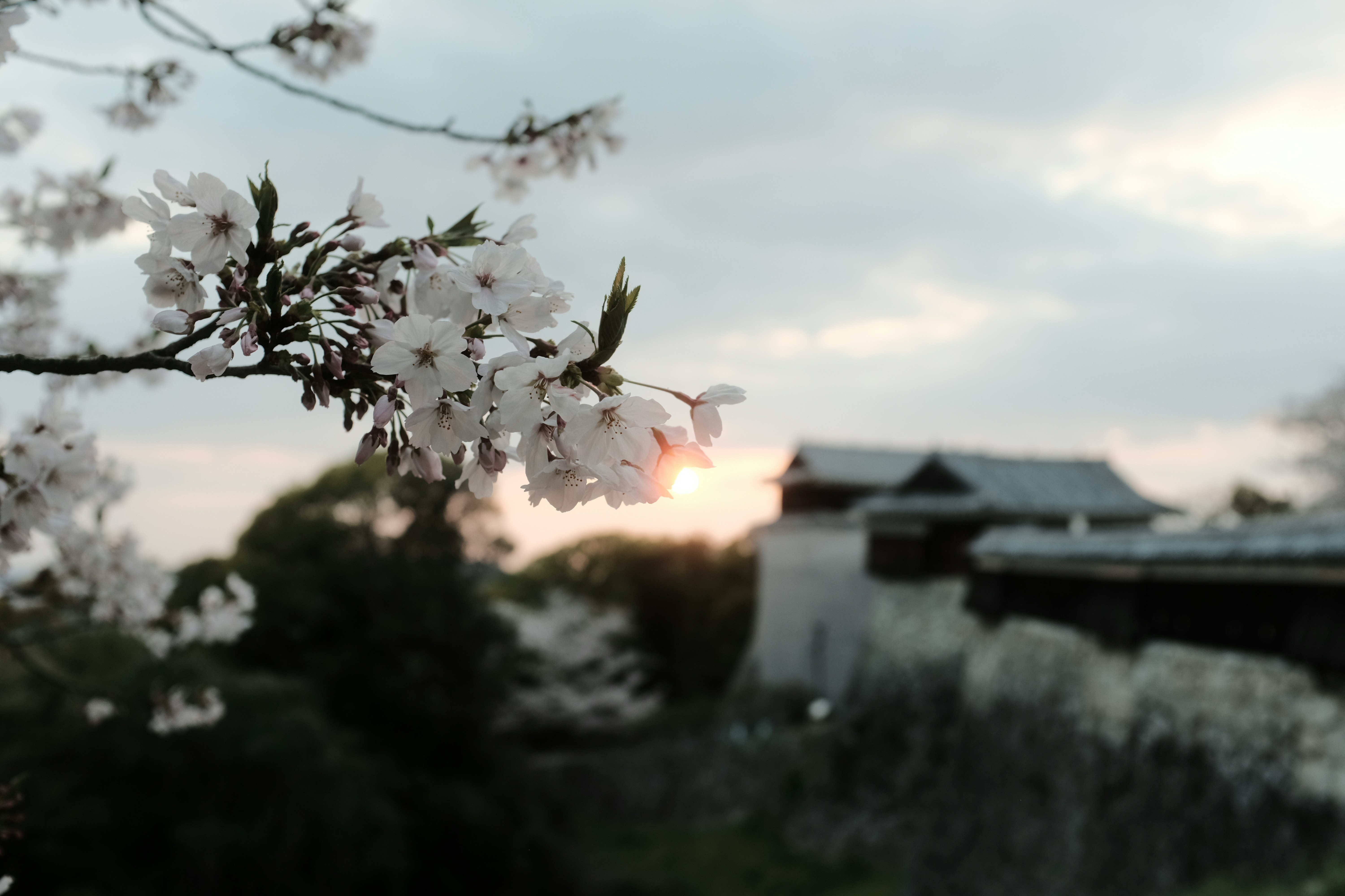 Photo by mak_jp