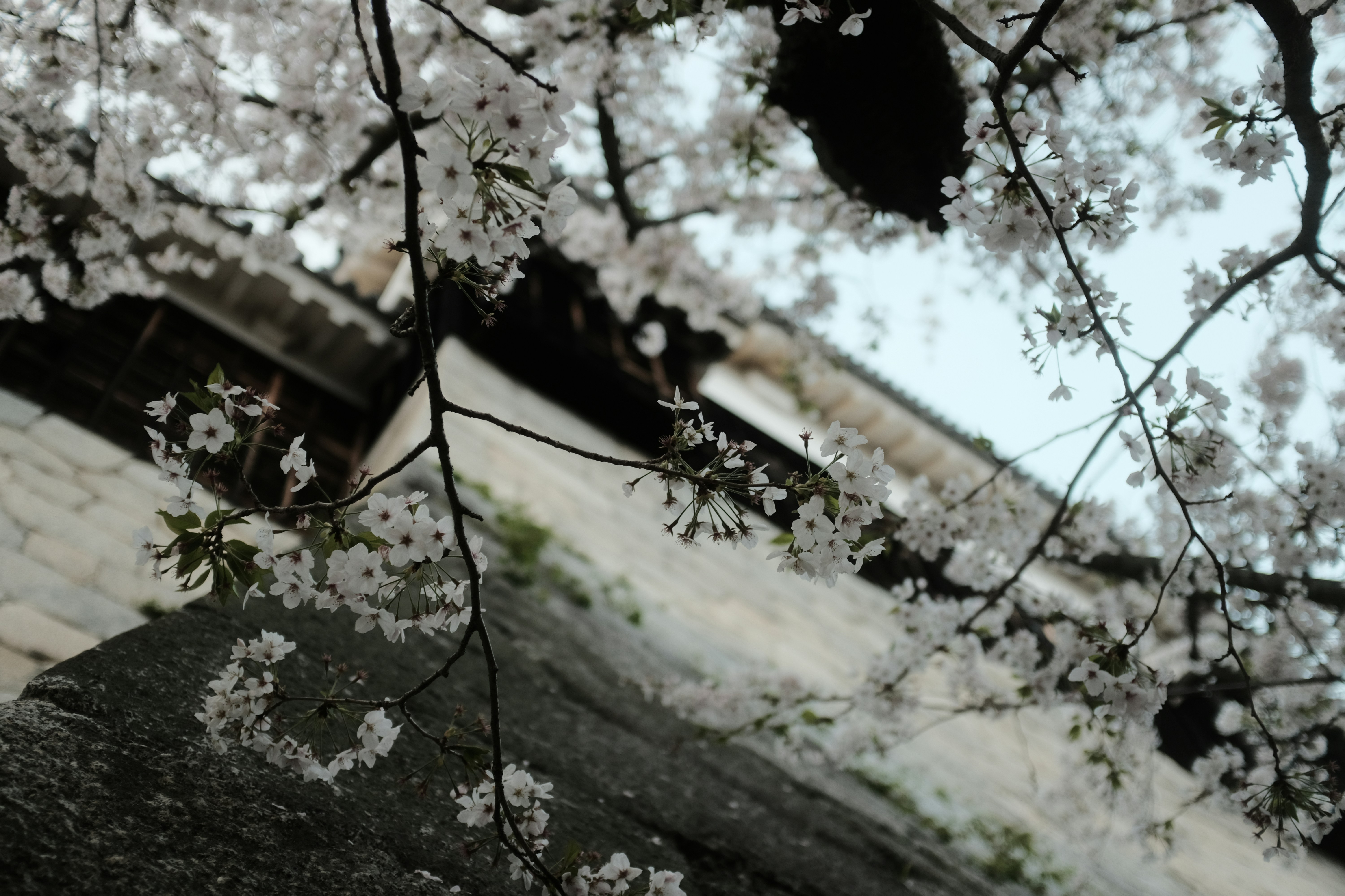 Photo by mak_jp