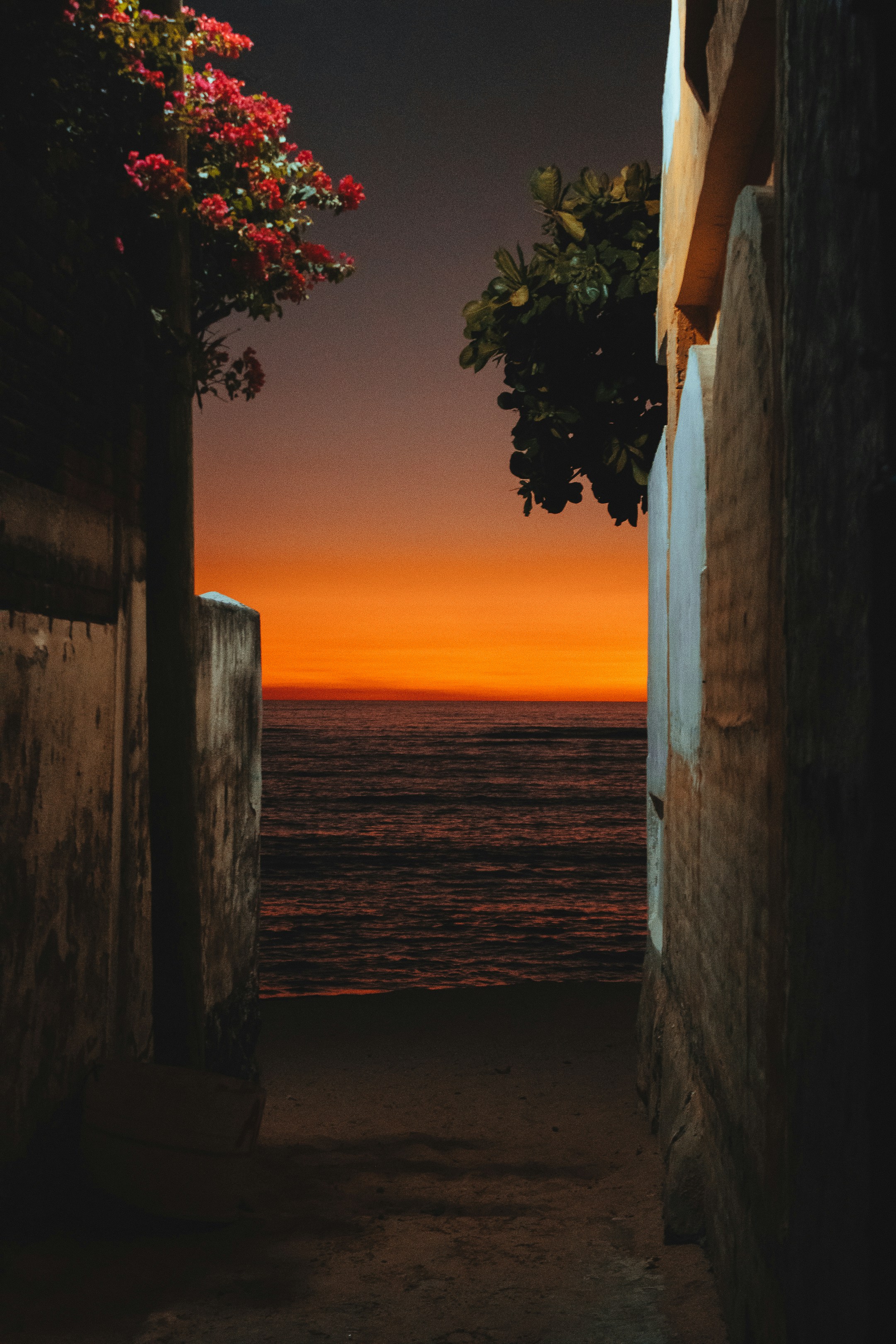 Photo by daniel_castellon20