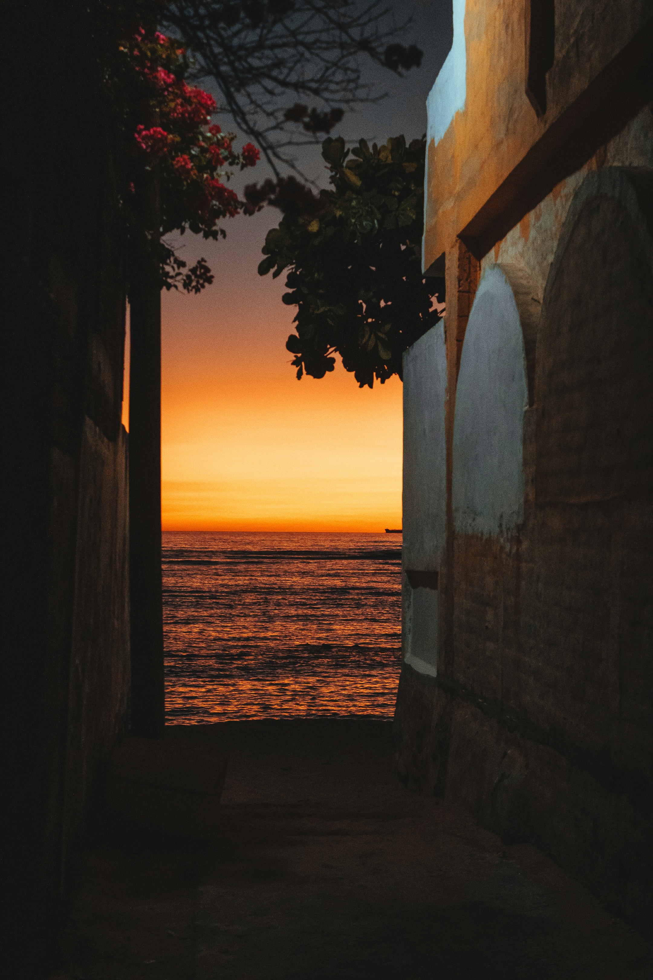 Photo by daniel_castellon20