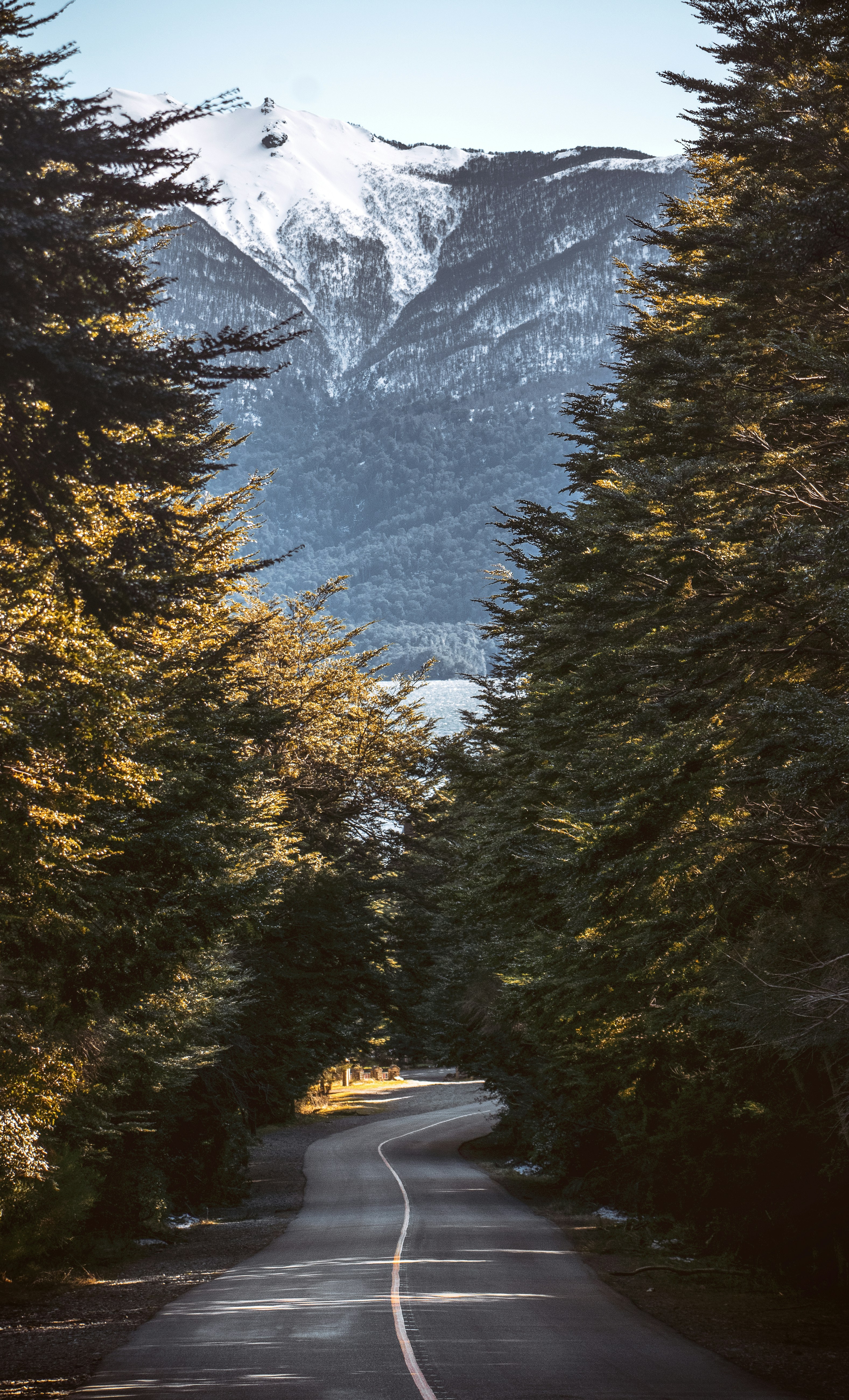 Photo by cemboraingonzalo