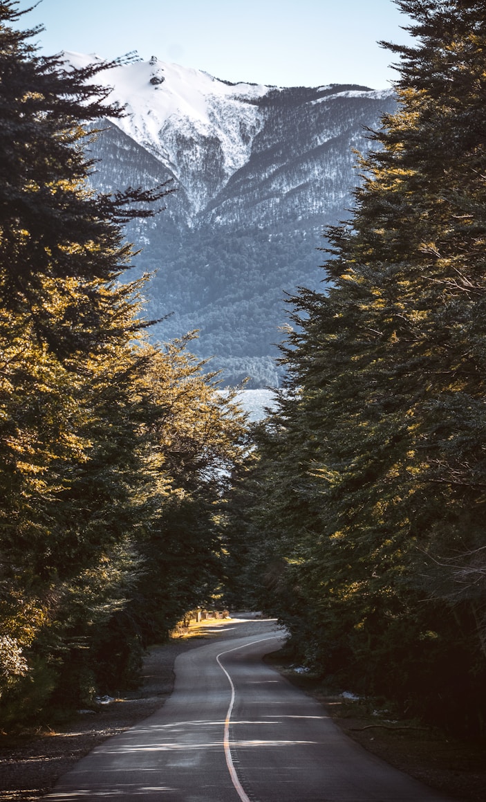 a road with a mountain in the background