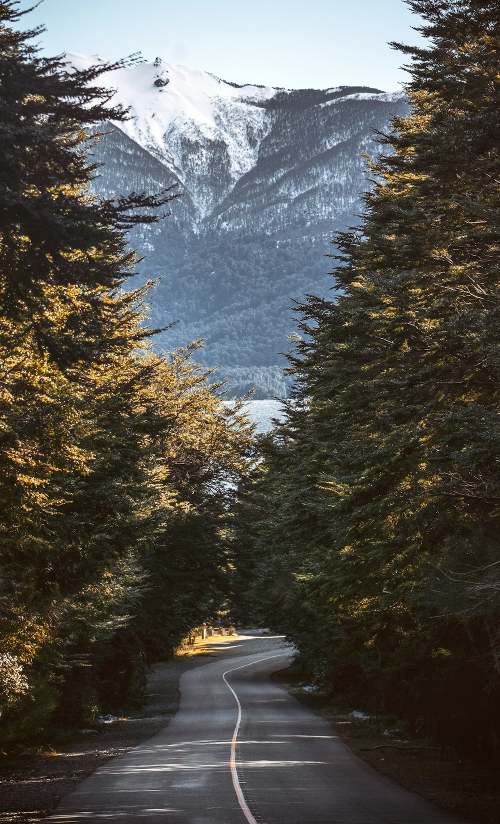 a road with a mountain in the background