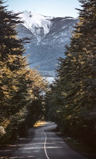 a road with a mountain in the background