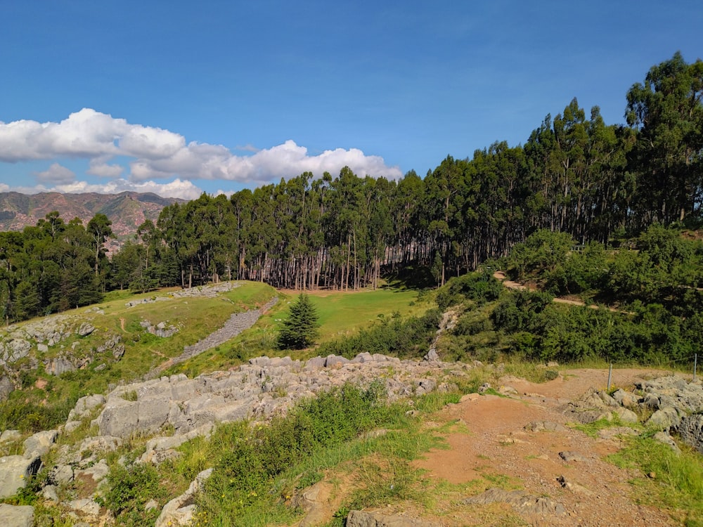 a grassy field surrounded by trees and rocks