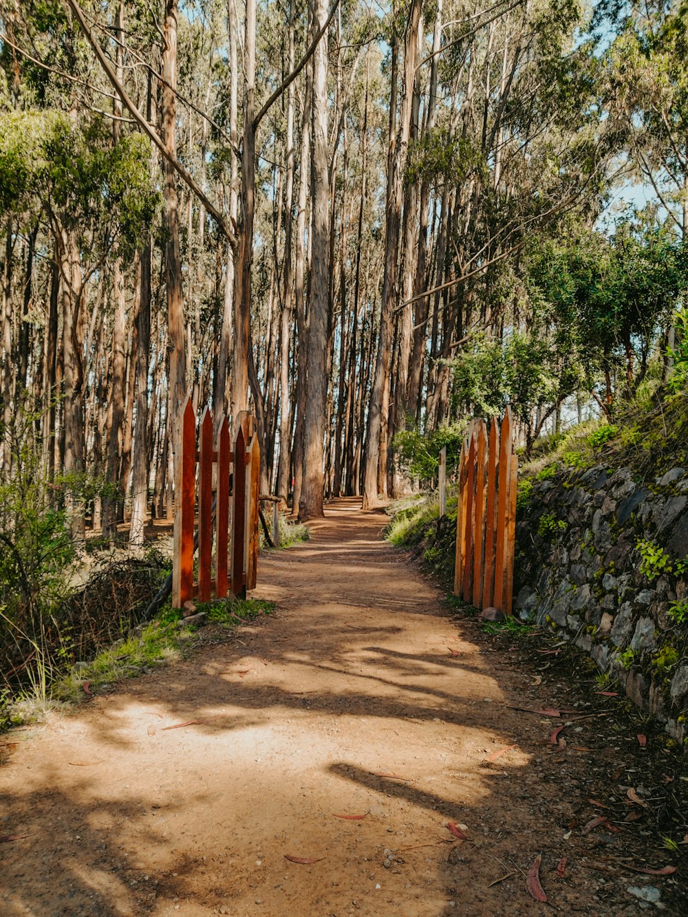 a dirt road surrounded by trees and a stone wall