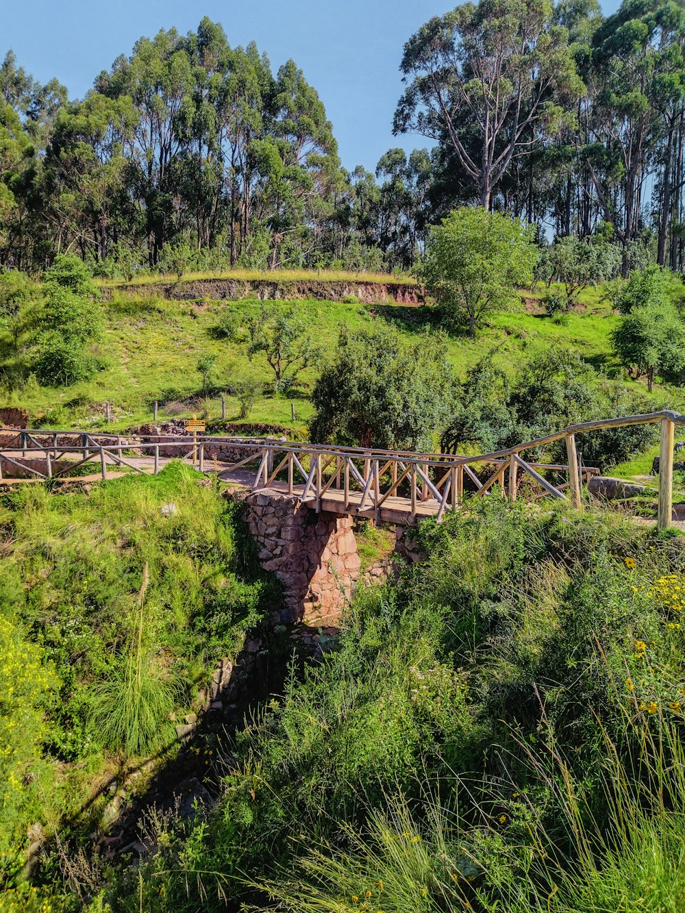 a wooden bridge crossing over a lush green hillside